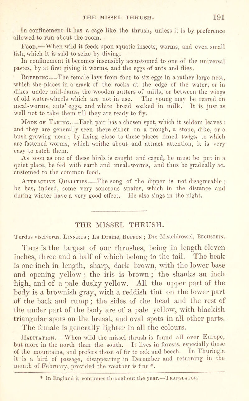 In confinement it has a cage like the thrush, unless it is by preference allowed to run about the room. Food.—When wild it feeds upon aquatic insects, worms, and even small fish, which it is said to seize by diving. In confinement it becomes insensibly accustomed to one of the universal pastes, by at first giving it worms, and the eggs of ants and flies. Breeding.—The female lays from four to six eggs in a rather large nest, which she places in a crack of the rocks at the edge of the water, or in dikes under mill-dams, the wooden gutters of mills, or between the wings of old water-wheels which are not in use. The young may be reared on meal-worms, ants’ eggs, and white bread soaked in milk. It is just as well not to take them till they are ready to fly. Mode of Taking.- —Each pair has a chosen spot, which it seldom leaves : and they are generally seen there either on a trough, a stone, dike, or a bush growing near •, by fixing close to these places limed twigs, to which are fastened worms, which writhe about and attract attention, it is very easv to catch them. As soon as one of these birds is caught and caged, he must be put in a quiet place, be fed with earth and meal-worms, and thus be gradually ac- customed to the common food. Attractive Qualities.—The song of the dipper is not disagreeable ; he has, indeed, some very sonorous strains, which in the distance and during winter have a very good effect. He also sings in the night. THE MISSEL THRUSH. Turdus viscivorus, Linnrjus ; La Draine, Buffon ; Die Misleldrossel, Bechstein. This is the largest of our thrushes, being in length eleven inches, three and a half of which belong to the tail. The beak is one inch in length, sharp, dark brown, with the lower base and opening yellow ; the iris is brown; the shanks an inch high, and of a pale dusky yellow. All the upper part of the body is a brownish gray, with a reddish tint on the lower part of the back and rump; the sides of the head and the rest of the under part of the body are of a pale yellow, with blackish triangular spots on the breast, and oval spots in all other parts. The female is generally lighter in all the colours. Habitation. — When wild the missel thrush is found all over Europe, but more in the north than the south. It lives in forests, especially those of the mountains, and prefers those of fir to oak and heech. In Thuringia it is a bird of passage, disappearing in December and returning in the month of February, provided the weather is fine *. * In England it continues throughout the year.—Translator.