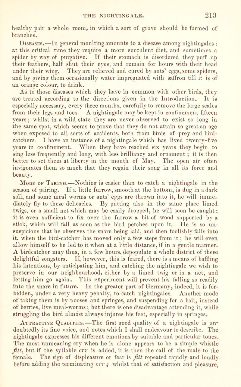 healthy pair a whole room, in which a sort of grove should be formed of branches. Diseases.—In general moulting amounts to a disease among nightingales : at this critical time they require a more succulent diet, and sometimes a spider b}’' way of purgative. If their stomach is disordered they puff up their feathers, half shut their eyes, and remain for hours with their head under their wing. They are relieved and cured by ants’ eggs, some spiders, and by giving them occasionally water impregnated with saffron till it is of an orange colour, to drink. As to those diseases which they have in common with other birds, they are treated according to the directions given in the Introduction. It is especially necessary, every three months, carefully to remove the large scales from their legs and toes. A nightingale maybe kept in confinement fifteen years; whilst in a wfild state they are never observed to exist so long in the same spot, which seems to prove that they do not attain so great an age when exposed to all sorts of accidents, both from birds of prey and bird- catchers. I have an instance of a nightingale which has lived twenty-five years in confinement. When they have reached six years they begin to sing less frequently and long, with less brilliancy and ornament ; it is then better to set them at liberty in the month of May. The open air often invigorates them so much that they regain their song in all its force and beauty. Mode of Taking.—Nothing is easier than to catch a nightingale in the season of pairing. If a little furrow, smooth at the bottom, is dug in a dark soil, and some meal worms or ants’ eggs are thrown into it, he will imme- diately fly to these delicacies. By putting also in the same place limed twigs, or a small net which may be easily dropped, he will soon be caught; it is even sufficient to fix over the furrow a bit of wood supported by a stick, which will fall as soon as the bird perches upon it. He is so un- suspicious that he observes the snare being laid, and then foolishly falls into it, when the bird-catcher has moved only a few steps from it; he will even allow himself to be led to it when at a little distance, if in a gentle manner. A birdcatcher may thus, in a few hours, depopulate a whole district of these delightful songsters. If, however, this is feared, there is a means of baffling his intentions, by anticipating him, and catching the nightingale we wish to preserve in our neighbourhood, either by a limed twig or in a net, and letting him go again. This experiment will prevent his falling so readily into the snare in future. In the greater part of Germany, indeed, it is for- bidden, under a very heavy penalty, to catch nightingales. Another mode of taking them is by nooses and springes, and suspending for a bait, instead of berries, live meal-worms ; but there is one disadvantage attending it, while struggling the bird almost always injures his feet, especially in springes. Attractive Qualities.-^—The first good quality of a nightingale is un“ doubtedly its fine voice, and notes which I shall endeavour to describe. The nightingale expresses his different emotions by suitable and particular tones. The most unmeaning cry when he is alone appears to be a simple whistle fitt^ but if the syllable err is added, it is then the call of the male to the female. The sign of displeasure or fear is fitt repeated rapidly and loudly before adding the terminating err ; whilst that of satisfaction and pleasure,
