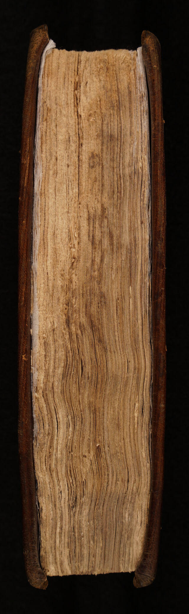 digitised image 3