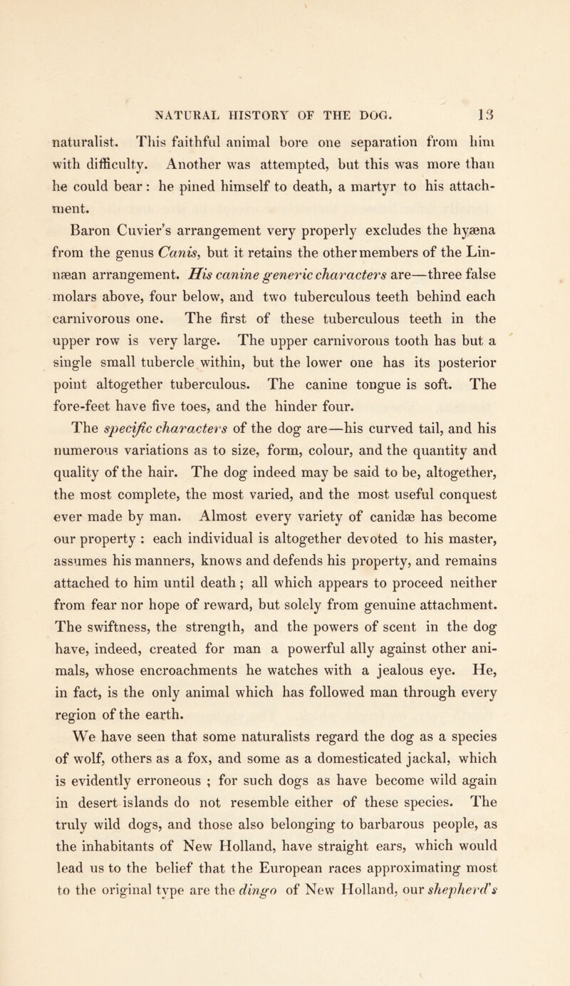 naturalist. Tliis faithful animal bore one separation from him with difficulty. Another w^as attempted, but this was more than he could bear : he pined himself to death, a martyr to his attach- ment. Baron Cuvier’s arrangement very properly excludes the hyaena from the genus Canis, but it retains the other members of the Lin- naean arrangement. His canine generic characters are—three false molars above, four below, and two tuberculous teeth behind each carnivorous one. The first of these tuberculous teeth in the upper row is very large. The upper carnivorous tooth has but a single small tubercle within, but the lower one has its posterior point altogether tuberculous. The canine tongue is soft. The fore-feet have five toes, and the hinder four. The specific characters of the dog are—his curved tail, and his numerous variations as to size, form, colour, and the quantity and quality of the hair. The dog indeed may be said to be, altogether, the most complete, the most varied, and the most useful conquest ever made by man. Almost every variety of canidae has become our property : each individual is altogether devoted to his master, assumes his manners, knows and defends his property, and remains attached to him until death; all which appears to proceed neither from fear nor hope of reward, but solely from genuine attachment. The swiftness, the strength, and the powers of scent in the dog have, indeed, created for man a powerful ally against other ani- mals, whose encroachments he watches with a jealous eye. He, in fact, is the only animal which has followed man through every region of the earth. We have seen that some naturalists regard the dog as a species of wolf, others as a fox, and some as a domesticated jackal, which is evidently erroneous ; for such dogs as have become wild again in desert islands do not resemble either of these species. The truly wild dogs, and those also belonging to barbarous people, as the inhabitants of New Holland, have straight ears, which would lead us to the belief that the European races approximating most to the original type are the dingo of New Holland, our shepherd's
