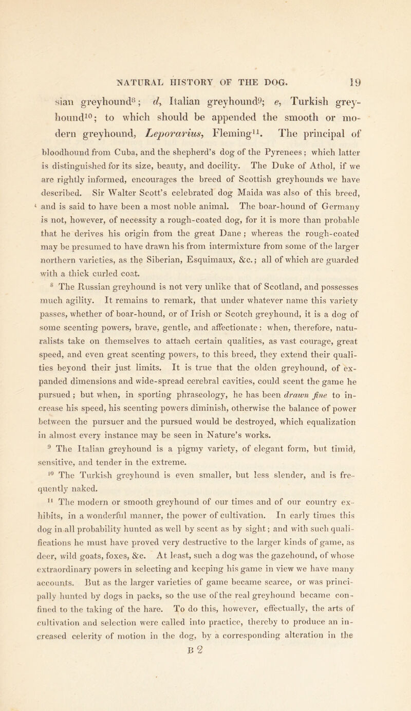 sian greyhound^; Italian greyhound^; Turkish grey- houndiO; to which should be appended the smooth or mo- dern greyhound, Leporarius, Fleming^i. The principal of bloodhound from Cuba, and the shepherd’s dog of the Pyrenees ; which latter is distinguished for its size, beauty, and docility- The Duke of Athol, if we are rightly informed, encourages the breed of Scottish greyhounds we have described. Sir Walter Scott’s celebrated dog Maida was also of this breed, < and is said to have been a most noble animal. The boar-hound of Germany is not, however, of necessity a rough-coated dog, for it is more than probable that he derives his origin from the great Dane ; whereas the rough-coated may be presumed to have drawn his from intermixture from some of the lai-ger northern varieties, as the Siberian, Esquimaux, &c.; all of which are guarded with a thick curled coat. ® The Russian greyhound is not very unlike that of Scotland, and possesses much agility. It remains to remark, that under whatever name this variety passes, whether of boar-hound, or of Irish or Scotch greyhound, it is a dog of some scenting powers, brave, gentle, and affectionate: when, therefore, natu- ralists take on themselves to attach certain qualities, as vast courage, great speed, and even great scenting powers, to this breed, they extend their quali- ties beyond their just limits. It is true that the olden greyhound, of ex- panded dimensions and wide-spread cerebral cavities, could scent the game he pursued ; but when, in sporting phraseology, he has been drawn fine to in- crease his speed, his scenting powers diminish, otherwise the balance of power betw'een the pursuer and the pursued would be destroyed, which equalization in almost every instance may be seen in Nature’s works. ^ The Italian greyhound is a pigmy variety, of elegant form, but timid, sensitive, and tender in the extreme. The Turkish greyhound is even smaller, but less slender, and is fre- quently naked. The modern or smooth greyhound of our times and of our country ex- hibits, in a wonderful manner, the power of cultivation. In early times this dog in all probability hunted as well by scent as by sight; and with such quali- fications he must have proved very destructive to the larger kinds of game, as deer, wild goats, foxes, &c. At least, such a dog was the gazehoimd, of whose extraordinary powers in selecting and keeping his game in view we have many accounts. But as the larger varieties of game became scarce, or was princi- pally hunted by dogs in packs, so the use of the real greyhound becam e con- fined to the taking of the hare. To do this, however, effectually, the arts of cultivation and selection were called into practice, thereby to produce an in- creased celerity of motion in the dog, by a corresponding alteration in the B 2