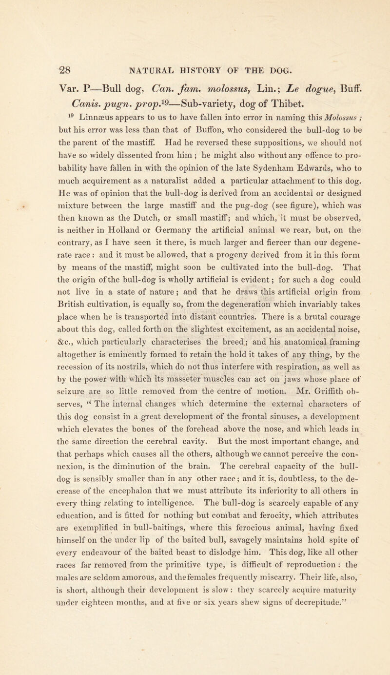 Var. P—Bull dog. Can. fam. molossusy Lin.; Le dogue^ Bulf. Canis. pugn. prop.^^—Sub-variety, dog of Thibet. Linnseus appears to us to have fallen into error in naming this Molossus.; but his error was less than that of Buffon, who considered the bull-dog to be the parent of the mastiff. Had he reversed these suppositions, we should not have so widely dissented from him ; he might also without any offence to pro- bability have fallen in with the opinion of the late Sydenham Edwards, who to much acquirement as a naturalist added a particular attachment to this dog. He was of opinion that the bull-dog is derived from an accidental or designed mixture between the large mastiff and the pug-dog (see figure), which was then known as the Dutch, or small mastiff; and which, it must be observed, is neither in Holland or Germany the artificial animal we rear, but, on the contrary, as I have seen it there, is much larger and fiercer than our degene- rate race : and it must be allowed, that a progeny derived from it in this form by means of the mastiff, might soon be cultivated into the bull-dog. That the origin of the bull-dog is wholly artificial is evident; for such a dog could not live in a state of nature; and that he draws this artificial origin from British cultivation, is equally so, from the degeneration which invariably takes place when he is transported into distant countries. There is a brutal courage about this dog, called forth on the slightest excitement, as an accidental noise, &c., which particularly characterises the breed,; and his anatomical framing altogether is eminently formed to retain the hold it takes of any thing, by the recession of its nostrils, which do not thus interfere with respiration, as well as by the power with which its masseter muscles can act on jaws whose place of seizure are so little removed from the centre of motion. Mr. Griffith ob- serves, “ The internal changes which determine the external characters of this dog consist in a great development of the frontal sinuses, a development which elevates the bones of the forehead above the nose, and which leads in the same direction the cerebral cavity. But the most important change, and that perhaps which causes all the others, although we cannot perceive the con- nexion, is the diminution of the brain. The cerebral capacity of the bull- dog is sensibly smaller than in any other race; and it is, doubtless, to the de- crease of the encephalon that we must attribute its inferiority to all others in every thing relating to intelligence. The bull-dog is scarcely capable of any education, and is fitted for nothing but combat and ferocity, which attributes are exemplified in bull-baitings, where this ferocious animal, having fixed himself on the under lip of the baited bull, savagely maintains hold spite of every endeavour of the baited beast to dislodge him. This dog, like all other races far removed from the primitive type, is difficult of reproduction ; the males are seldom amorous, and the females frequently miscarry. Their life, also, is short, although their development is slow: they scarcely acquire maturity under eighteen months, and at five or six years shew signs of decrepitude.”