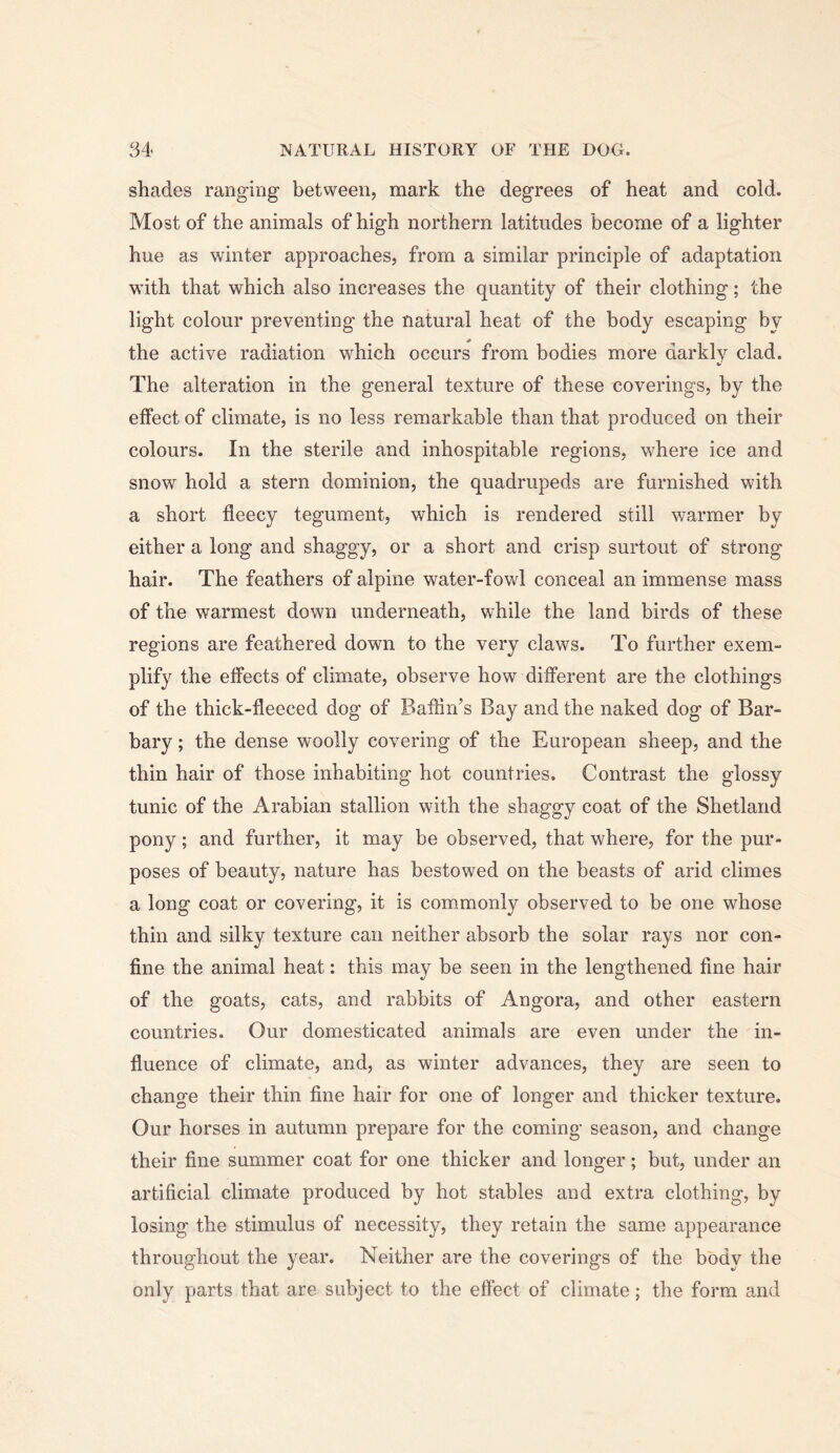 shades ranging between, mark the degrees of heat and cold. Most of the animals of high northern latitudes become of a lighter hue as winter approaches, from a similar principle of adaptation with that which also increases the quantity of their clothing; the light colour preventing the natural heat of the body escaping by the active radiation which occurs from bodies more darkly clad. The alteration in the general texture of these coverings, by the effect of climate, is no less remarkable than that produced on their colours. In the sterile and inhospitable regions, where ice and snow hold a stern dominion, the quadrupeds are furnished with a short fleecy tegument, which is rendered still warmer by either a long and shaggy, or a short and crisp surtout of strong hair. The feathers of alpine water-fowl conceal an immense mass of the warmest down underneath, while the land birds of these regions are feathered down to the very claws. To further exem- plify the effects of climate, observe how different are the clothings of the thick-fleeced dog of Baffin’s Bay and the naked dog of Bar- bary ; the dense woolly covering of the European sheep, and the thin hair of those inhabiting hot countries. Contrast the glossy tunic of the Arabian stallion with the shaggy coat of the Shetland pony; and further, it may be observed, that where, for the pur- poses of beauty, nature has bestowed on the beasts of arid climes a long coat or covering, it is commonly observed to be one whose thin and silky texture can neither absorb the solar rays nor con- fine the animal heat: this may be seen in the lengthened fine hair of the goats, cats, and rabbits of Angora, and other eastern countries. Our domesticated animals are even under the in- fluence of climate, and, as winter advances, they are seen to change their thin fine hair for one of longer and thicker texture. Our horses in autumn prepare for the coming season, and change their fine summer coat for one thicker and longer; but, under an artificial climate produced by hot stables and extra clothing, by losing the stimulus of necessity, they retain the same appearance throughout the year. Neither are the coverings of the body the only parts that are subject to the effect of climate; the form and