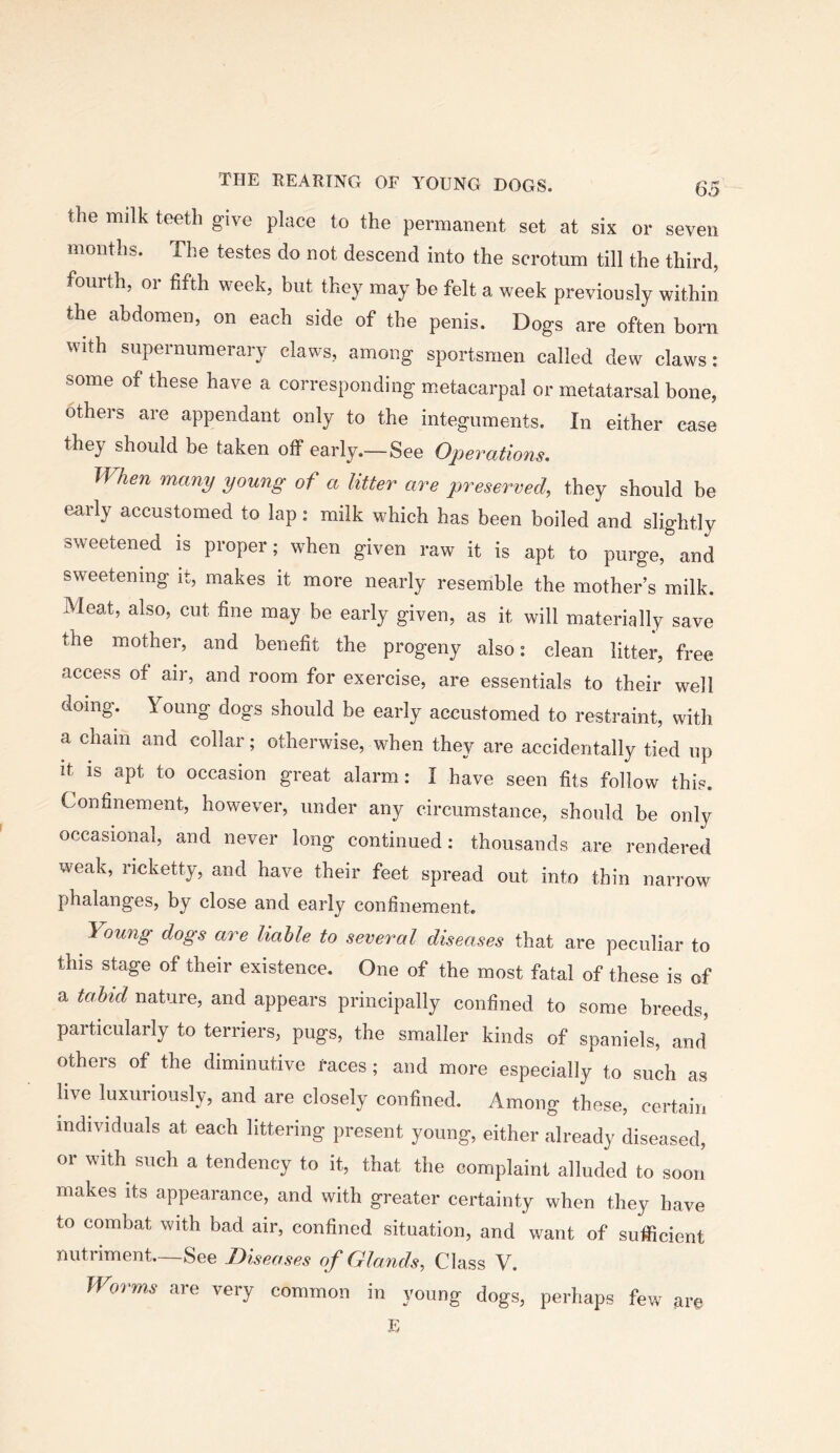 the milk teeth give place to the permanent set at six or seven months. The testes do not descend into the scrotum till the third, fourth, or fifth week, but they may be felt a week previously within the abdomen, on each side of the penis. Dogs are often born with supernumerary claws, among sportsmen called dew claws: some of these have a corresponding metacarpal or metatarsal bone, others are appendant only to the integuments. In either case they should be taken off early.—See Operations. When many young of a litter are preserved, they should be early accustomed to lap: milk which has been boiled and slightly sweetened is proper; when given raw it is apt to purge, and sweetening it, makes it more nearly resemble the mother s milk. Meat, also, cut fine may be early given, as it will materially save the mother, and benefit the progeny also: clean litter, free access of air, and room for exercise, are essentials to their well doing. Young dogs should be early accustomed to restraint, with a chain and collar; otherwise, when they are accidentally tied up It IS apt to occasion great alarm: I have seen fits follow this. Confinement, however, under any circumstance, should be only occasional, and never long continued: thousands are rendered weak, ricketty, and have their feet spread out into thin narrow phalanges, by close and early confinement. Young dogs are liable to several diseases that are peculiar to this stage of their existence. One of the most fatal of these is of a tahid nature, and appears principally confined to some breeds, particularly to terriers, pugs, the smaller kinds of spaniels, and others of the diminutive faces; and more especially to such as live luxuriously, and are closely confined. Among these, certain individuals at each littering present young, either already diseased, or with such a tendency to it, that the complaint alluded to soon makes its appearance, and with greater certainty when they have to combat with bad air, confined situation, and want of sufficient nutriment.—See Diseases of Glands, Class V. Worms are very common in young dogs, perhaps few are E