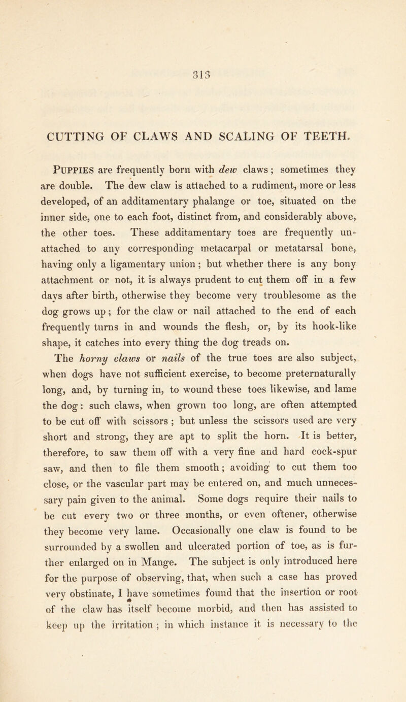 CUTTING OF CLAWS AND SCALING OF TEETH. Puppies are frequently born with dew claws; sometimes they are double. The dew claw is attached to a rudiment, more or less developed, of an additamentary phalange or toe, situated on the inner side, one to each foot, distinct from, and considerably above, the other toes. These additamentary toes are frequently un- attached to any corresponding metacarpal or metatarsal bone, having only a ligamentary union; but whether there is any bony attachment or not, it is always prudent to cut them off in a few days after birth, otherwise they become very troublesome as the dog grows up; for the claw or nail attached to the end of each frequently turns in and wounds the flesh, or, by its hook-like shape, it catches into every thing the dog treads on. The horny claws or nails of the true toes are also subject, when dogs have not sufficient exercise, to become preternaturally long, and, by turning in, to wound these toes likewise, and lame the dog : such claws, when grown too long, are often attempted to be cut off with scissors ; but unless the scissors used are very short and strong, they are apt to split the horn. It is better, therefore, to saw them off with a very fine and hard cock-spur saw, and then to file them smooth; avoiding to cut them too close, or the vascular part may be entered on, and much unneces- sary pain given to the animal. Some dogs require their nails to be cut every two or three months, or even oftener, otherwise they become very lame. Occasionally one claw is found to be surrounded by a swollen and ulcerated portion of toe, as is fur- ther enlarged on in Mange. The subject is only introduced here for the purpose of observing, that, when such a case has proved very obstinate, I have sometimes found that the insertion or root of the claw has itself become morbid, and then has assisted to keep up the irritation ; in which instance it is necessary to the