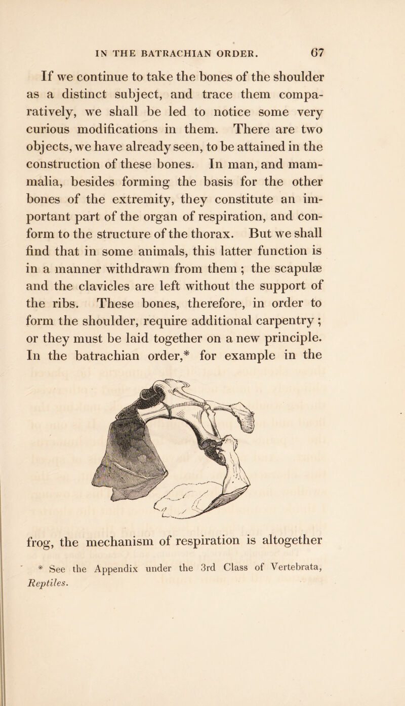 If we continue to take the bones of the shoulder as a distinct subject, and trace them compa- ratively, we shall be led to notice some very curious modifications in them. There are two objects, we have already seen, to be attained in the construction of these bones. In man, and mam- malia, besides forming the basis for the other bones of the extremity, they constitute an im- portant part of the organ of respiration, and con- form to the structure of the thorax. But we shall find that in some animals, this latter function is in a manner withdrawn from them; the scapulae and the clavicles are left without the support of the ribs. These bones, therefore, in order to form the shoulder, require additional carpentry; or they must be laid together on a new principle. In the batrachian order,* for example in the frog, the mechanism of respiration is altogether * See the Appendix under the 3rd Class of Vertebrata, Reptiles.