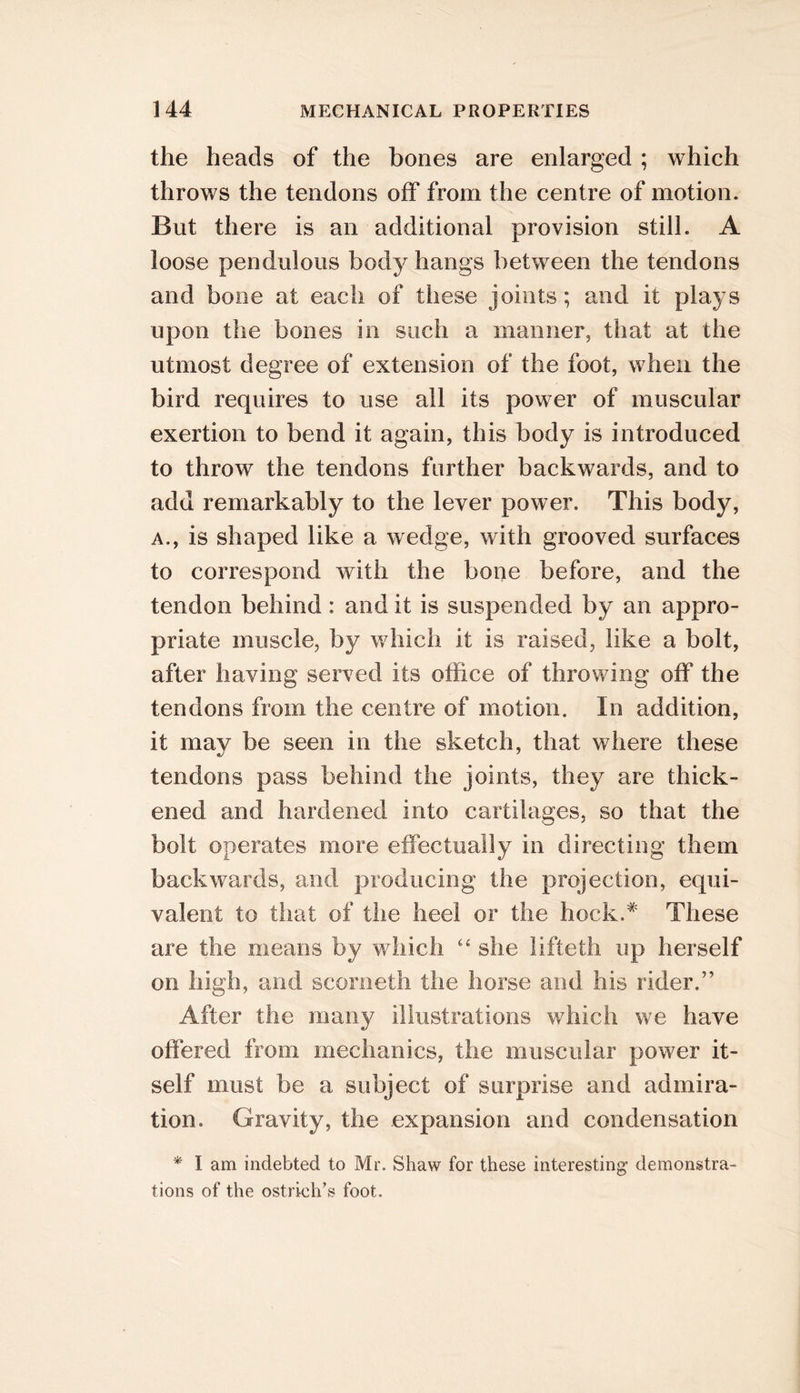 the heads of the bones are enlarged ; which throws the tendons off from the centre of motion. But there is an additional provision still. A loose pendulous body hangs between the tendons and bone at each of these joints; and it plays upon the bones in such a manner, that at the utmost degree of extension of the foot, when the bird requires to use all its power of muscular exertion to bend it again, this body is introduced to throw the tendons further backwards, and to add remarkably to the lever power. This body, A., is shaped like a wedge, with grooved surfaces to correspond with the bone before, and the tendon behind : and it is suspended by an appro- priate muscle, by which it is raised, like a bolt, after having served its office of throwing off the tendons from the centre of motion. In addition, it may be seen in the sketch, that where these tendons pass behind the joints, they are thick- ened and hardened into cartilages, so that the bolt operates more effectually in directing them backwards, and producing the projection, equi- valent to that of the heel or the hock.* These are the means by which she lifteth up herself on high, and scorneth the horse and his rider.” After the many illustrations which we have offered from mechanics, the muscular power it- self must be a subject of surprise and admira- tion. Gravity, the expansion and condensation * I am indebted to Mr. Shaw for these interesting- demonstra- tions of the ostrich’s foot.