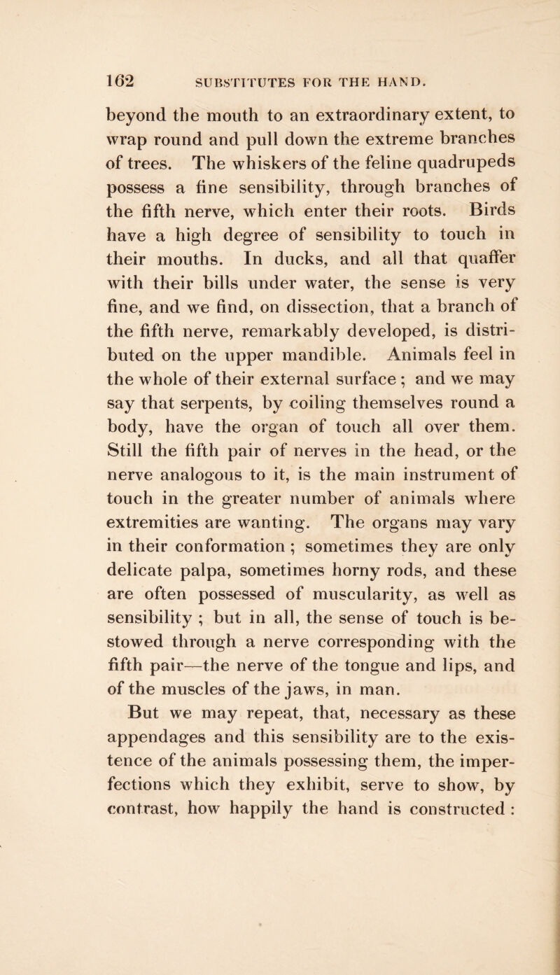 beyond the mouth to an extraordinary extent, to wrap round and pull down the extreme branches of trees. The whiskers of the feline quadrupeds possess a fine sensibility, through branches of the fifth nerve, which enter their roots. Birds have a high degree of sensibility to touch in their mouths. In ducks, and all that quaffer with their bills under water, the sense is very fine, and we find, on dissection, that a branch of the fifth nerve, remarkably developed, is distri- buted on the upper mandible. Animals feel in the whole of their external surface ; and we may say that serpents, by coiling themselves round a body, have the organ of touch all over them. Still the fifth pair of nerves in the head, or the nerve analogous to it, is the main instrument of touch in the greater number of animals where extremities are wanting. The organs may vary in their conformation ; sometimes they are only delicate palpa, sometimes horny rods, and these are often possessed of muscularity, as well as sensibility ; but in all, the sense of touch is be- stowed through a nerve corresponding with the fifth pair—the nerve of the tongue and lips, and of the muscles of the jaw^s, in man. But we may repeat, that, necessary as these appendages and this sensibility are to the exis- tence of the animals possessing them, the imper- fections which they exhibit, serve to show, by contrast, how happily the hand is constructed :