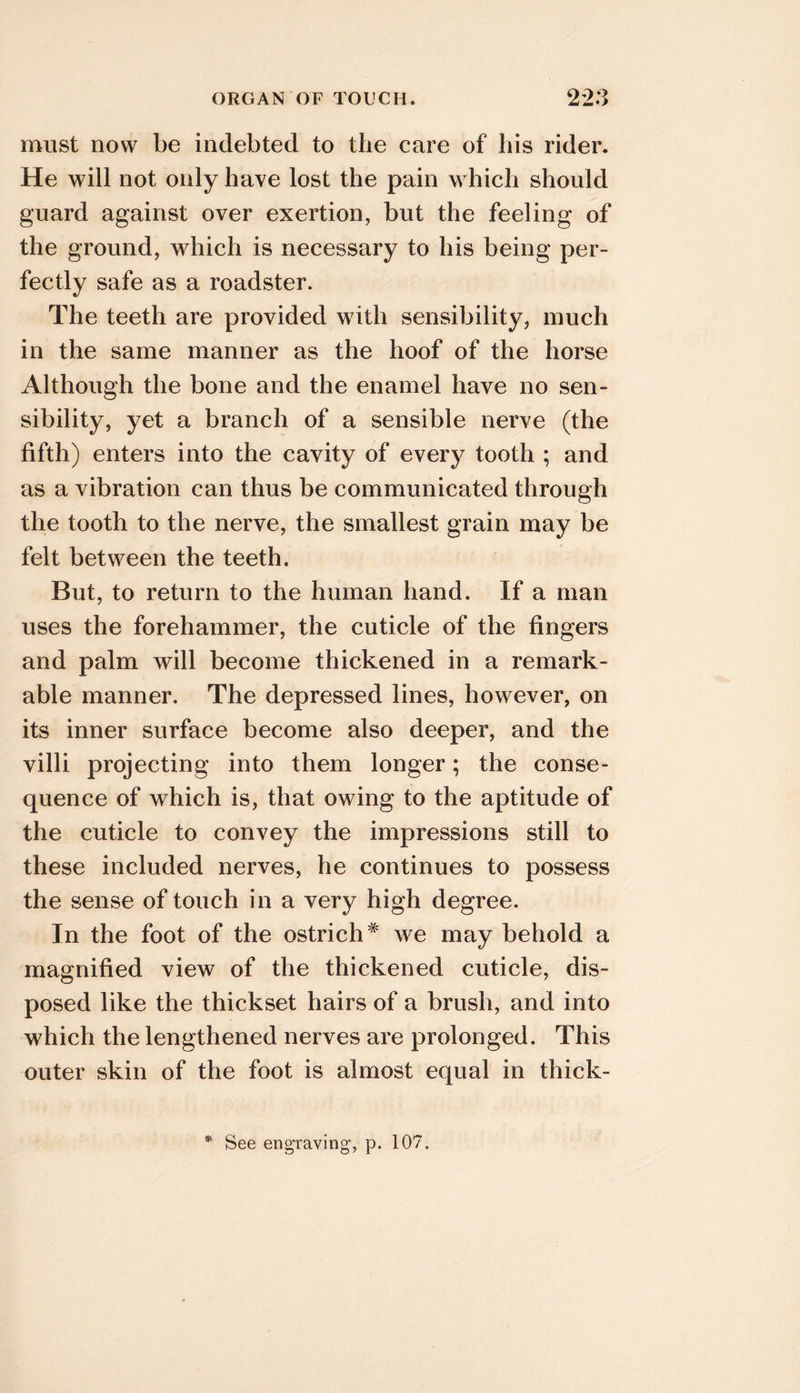 must now be indebted to the care of his rider. He will not only have lost the pain which should guard against over exertion, but the feeling of the ground, which is necessary to his being per- fectly safe as a roadster. The teeth are provided with sensibility, much in the same manner as the hoof of the horse Although the bone and the enamel have no sen- sibility, yet a branch of a sensible neiwe (the fifth) enters into the cavity of every tooth ; and as a vibration can thus be communicated through the tooth to the nerve, the smallest grain may be felt between the teeth. But, to return to the human hand. If a man uses the forehammer, the cuticle of the fingers and palm will become thickened in a remark- able manner. The depressed lines, however, on its inner surface become also deeper, and the villi projecting into them longer; the conse- quence of which is, that owing to the aptitude of the cuticle to convey the impressions still to these included nerves, he continues to possess the sense of touch in a very high degree. In the foot of the ostrich* we may behold a magnified view of the thickened cuticle, dis- posed like the thickset hairs of a brush, and into which the lengthened nerves are prolonged. This outer skin of the foot is almost equal in thick- See engTaving, p. 107.