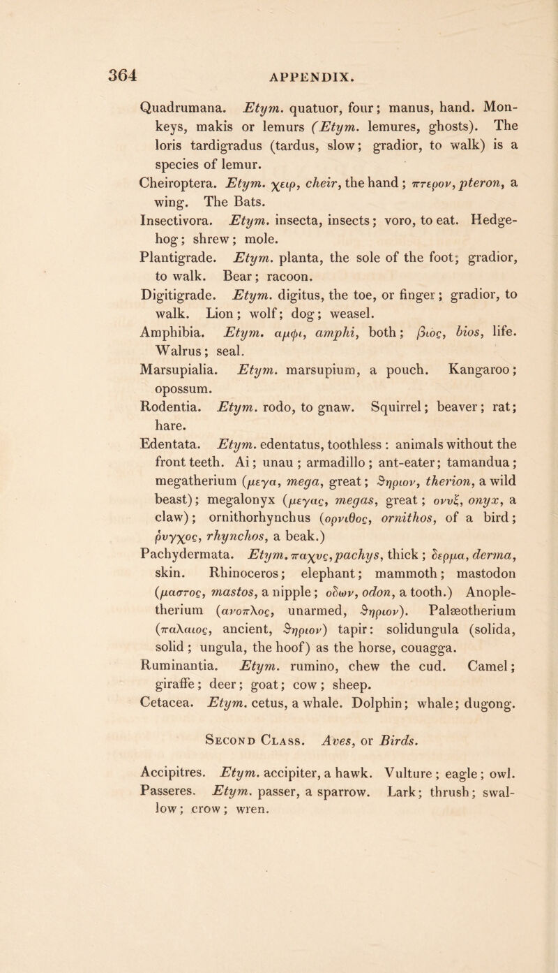Quadrumana. Etym. quatuor, four; manus, hand. Mon- keys, makis or lemurs (Etym. lemures, ghosts). The loris tardigradus (tardus, slow; gradior, to walk) is a species of lemur. Cheiroptera. Etym. the hand; irrepov, pteron^ a wing. The Bats. Insectivora. Etym. insecta, insects; voro, to eat. Hedge- hog; shrew; mole. Plantigrade. Etym. planta, the sole of the foot; gradior, to walk. Bear; racoon. Digitigrade. Etym. digitus, the toe, or finger; gradior, to walk. Lion ; wolf; dog; weasel. Amphibia. Etym. ap(f)i, amphi, both; /3ioe, bios, life. Walrus; seal. Marsupialia. Etym. marsupium, a pouch. Kangaroo; opossum. Rodentia. rodo, to gnaw. Squirrel; beaver; rat; hare. Edentata. Etym. edentatus, toothless : animals without the front teeth. Ai; unau ; armadillo; ant-eater; tamandua; megatherium {yeya, mega, great; ^■qpiov, therion, a wild beast); megalonyx {peyaq, megas, great; owl,, onyx, a claw); ornithorhynchus {oppidog, ornithos, of a bird; pvyxpg, rhynchos, a beak.) Pachydermata. Etym. 7raxvQ,pachys, thick ; ^spga, derma, skin. Rhinoceros; elephant; mammoth; mastodon {paaroQ, mastos, a nipple; odon, a tooth.) Anople- therium (avoTrXog, unarmed, S’rjpiov). Palseotherium (TraXmoe, ancient, ^rjpior) tapir: solidungula (solida, solid ; ungula, the hoof) as the horse, couagga. Ruminantia. Etym. rumino, chew the cud. Camel; giraffe; deer; goat; cow ; sheep. Cetacea. cetus, a whale. Dolphin; whale; dugong. Second Class. Aves, or Birds. Accipitres. Etym. accipiter, a hawk. Vulture ; eagle; owl. Passeres. Etym. passer, a sparrow. Lark; thrush; swal- low; crow; wren.