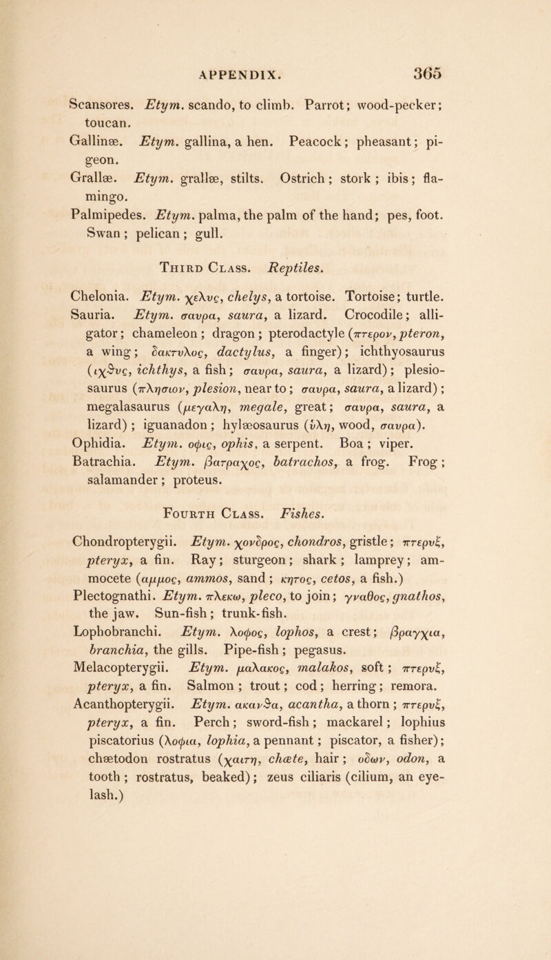 Scansores. scando, to climb. Parrot; wood-pecker; toucan. Gallinse. Etym. gallina, a hen. Peacock; pheasant; pi- geon. Grallae. Etym. grallse, stilts. Ostrich; stork ; ibis; fla- mingo. Palmipedes. Etym. palma, the palm of the hand; pes, foot. Swan ; pelican ; gull. Third Class. Reptiles. Chelonia. Etym. xeXvq, chelys, a tortoise. Tortoise; turtle. Sauria. Etym. (ravpa, saura^ a lizard. Crocodile; alli- gator; chameleon; dragon; pterodactyle(7rr€pov,/>^ero7i, a wing; daKrvXog, dactylus, a finger); ichthyosaurus (iX^vg, ichthys, a fish; cravpa, saura, a lizard); plesio- saurus {irXriffLov, plesion., near to; aavpa, saura, a lizard); megalasaurus (peyaXr), megale, great; aavpa, saura, a lizard) ; iguanadon ; hylaeosaurus (vX?/, wood, aavpa). Ophidia. Etym. o(f)Lg, aphis, a serpent. Boa; viper. Batrachia. Etym. fiarpaxog, batrachos, a frog. Frog; salamander; proteus. Fourth Class. Fishes. Chondropterygii. Etym. xovlpog, chondros, gristle; Trrepv^, pteryx, a fin. Ray; sturgeon; shark; lamprey; am- mocete {appog, ammos, sand; Krjrog, cetos, a fish.) Plectognathi. Etym. tcXekio, pleco, to join; yradog, gnathos, the jaw. Sun-fish; trunk-fish. Lophobranchi. Etym. Xofog, lophos, a crest; fipay^ia, branchia, the gills. Pipe-fish ; pegasus. Melacopterygii. Etym. paXaKog, malakos, soft; irrEpv^, pteryx, a fin. Salmon ; trout; cod; herring; remora. Acanthopterygii. Etym. aKav^a, acantha, a thorn; irrEpvl, pteryx, a fin. Perch; sword-fish; mackarel; lophius piscatorius (Xo(pLa, lophia, a pennant; piscator, a fisher); chsetodon rostratus chcete, hair; obtav, odon, a tooth ; rostratus, beaked); zeus ciliaris (cilium, an eye- lash.)