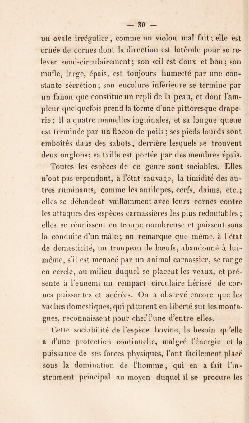 un ovale irrégulier, comme un violon mal fait; elle est ornée de cornes dont la direction est latérale pour se re- lever semi-circulairement; son œil est doux et bon; son mufle, large, épais, est toujours humecté par une con- stante sécrétion; son encolure inférieure se termine par un fanon que constitue un repli de la peau, et dont l’am- pleur quelquefois prend la forme d’une pittoresque drape- rie ; il a quatre mamelles inguinales, et sa longue queue est terminée par un flocon de poils ; ses pieds lourds sont emboîtés dans des sabots, derrière lesquels se trouvent deux onglons; sa taille est portée par des membres épais. Toutes les espèces de ce genre sont sociables. Elles n’ont pas cependant, à l’état sauvage, la timidité des au- tres ruminants, comme les antilopes, cerfs_, daims, etc.; elles se défendent vaillamment avec leurs cornes contre les attaques des espèces carnassières les plus redoutables ; elles se réunissent en troupe nombreuse et paissent sous la conduite d’un mâle ; on remarque que même, à l’état de domesticité, un troupeau de bœufs, abandonné à lui- même, s’il est menacé par un animal carnassier, se range en cercle, au milieu duquel se placent les veaux, et pré- sente à l’ennemi un rempart circulaire hérissé de cor- nes puissantes et acérées. On a observé encore que les vaches domestiques, qui pâturent en liberté sur les monta- gnes, reconnaissent pour chef l’une d’entre elles. Cette sociabilité de l’espèce bovine, le besoin qu’elle a d’une protection continuelle, malgré l’énergie et la puissance de ses forces physiques, l’ont facilement placé sous la domination de l’homme, qui en a fait l’in- strument principal au moyen duquel il se procure les