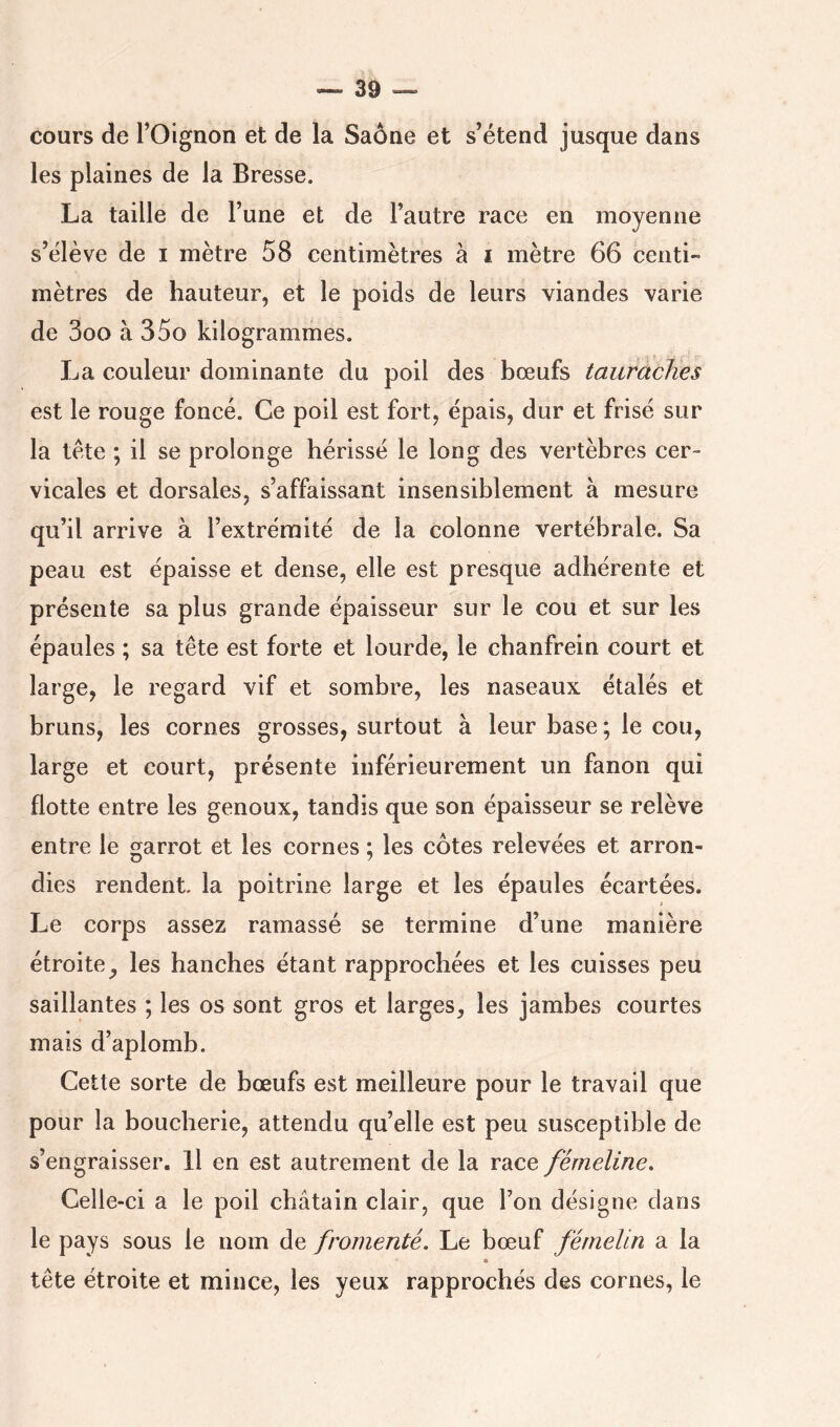 cours de l’Oignon et de la Saône et s’étend jusque dans les plaines de la Bresse. La taille de l’une et de l’autre race en moyenne s’élève de i mètre 58 centimètres à i mètre 66 centi- mètres de hauteur, et le poids de leurs viandes varie de 3oo à 35o kilogrammes. La couleur dominante du poil des bœufs tauràches est le rouge foncé. Ce poil est fort, épais, dur et frisé sur la tète ; il se prolonge hérissé le long des vertèbres cer- vicales et dorsales, s’affaissant insensiblement à mesure qu’il arrive à l’extrémité de la colonne vertébrale. Sa peau est épaisse et dense, elle est presque adhérente et présente sa plus grande épaisseur sur le cou et sur les épaules ; sa tête est forte et lourde, le chanfrein court et large, le regard vif et sombre, les naseaux étalés et bruns, les cornes grosses, surtout à leur base ; le cou, large et court, présente inférieurement un fanon qui flotte entre les genoux, tandis que son épaisseur se relève entre le garrot et les cornes ; les côtes relevées et arron- dies rendent la poitrine large et les épaules écartées. Le corps assez ramassé se termine d’une manière étroite les hanches étant rapprochées et les cuisses peu saillantes ; les os sont gros et larges, les jambes courtes mais d’aplomb. Cette sorte de bœufs est meilleure pour le travail que pour la boucherie, attendu quelle est peu susceptible de s’engraisser. Il en est autrement de la race fémeline. Celle-ci a le poil châtain clair, que Ton désigne clans le pays sous le nom de fromenté. Le bœuf férnelin a la » tête étroite et mince, les yeux rapprochés des cornes, le