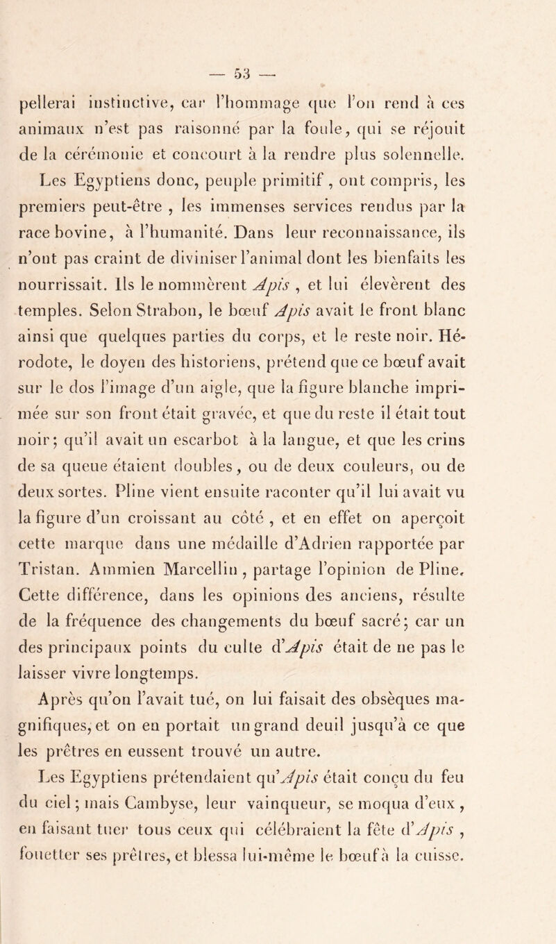 peilerai instinctive, car rhommage ([ne l’on rend h ces animaux n’est pas raisonné par la foule^ qui se réjouit de la cérémonie et concourt à la rendre plus solennelle. Les Egyptiens donc, peuple primitif, ont compris, les premiers peut-être , les immenses services rendus par la race bovine, à rhumanité. Dans leur reconnaissance, ils n’ont pas craint de diviniser l’animal dont les bienfaits les nourrissait. Ils le nommèrent , et lui élevèrent des temples. Selon Strabon, le bœuf Apis avait le front blanc ainsi que quelques parties du corps, et le reste noir. Hé- rodote, le doyen des historiens, prétend que ce bœuf avait sur le dos l’image d’un aigle, que la figure blanche impri- mée sur son front était gravée, et que du reste il était tout noir; qu’il avait un escarbot à la langue, et que les crins de sa queue étaient doubles, ou de deux couleurs, ou de deux sortes. Pline vient ensuite raconter qu’il lui avait vu la figure d’un croissant au côté , et en effet on aperçoit cette marque dans une médaille d’Adrien rapportée par Tristan. Ammien Marcellin , partage l’opinion de Pline, Cette différence, dans les opinions des anciens, résulte de la fréquence des changements du bœuf sacré; car un des principaux points du culte à'Apis était de ne pas le laisser vivre longtemps. Après qu’on l’avait tué, on lui faisait des obsèques ma- gnifiques, et on en portait un grand deuil jusqu’à ce que les prêtres en eussent trouvé un autre. Les Egyptiens prétendaient c\uApis était conçu du feu du ciel ; mais Cambyse, leur vainqueur, se moqua d’eux , en faisant tuer tous ceux qui célébraient la fête à'Apis , fouetter ses prêtres, et blessa lui-même le bœuf à la cuisse.