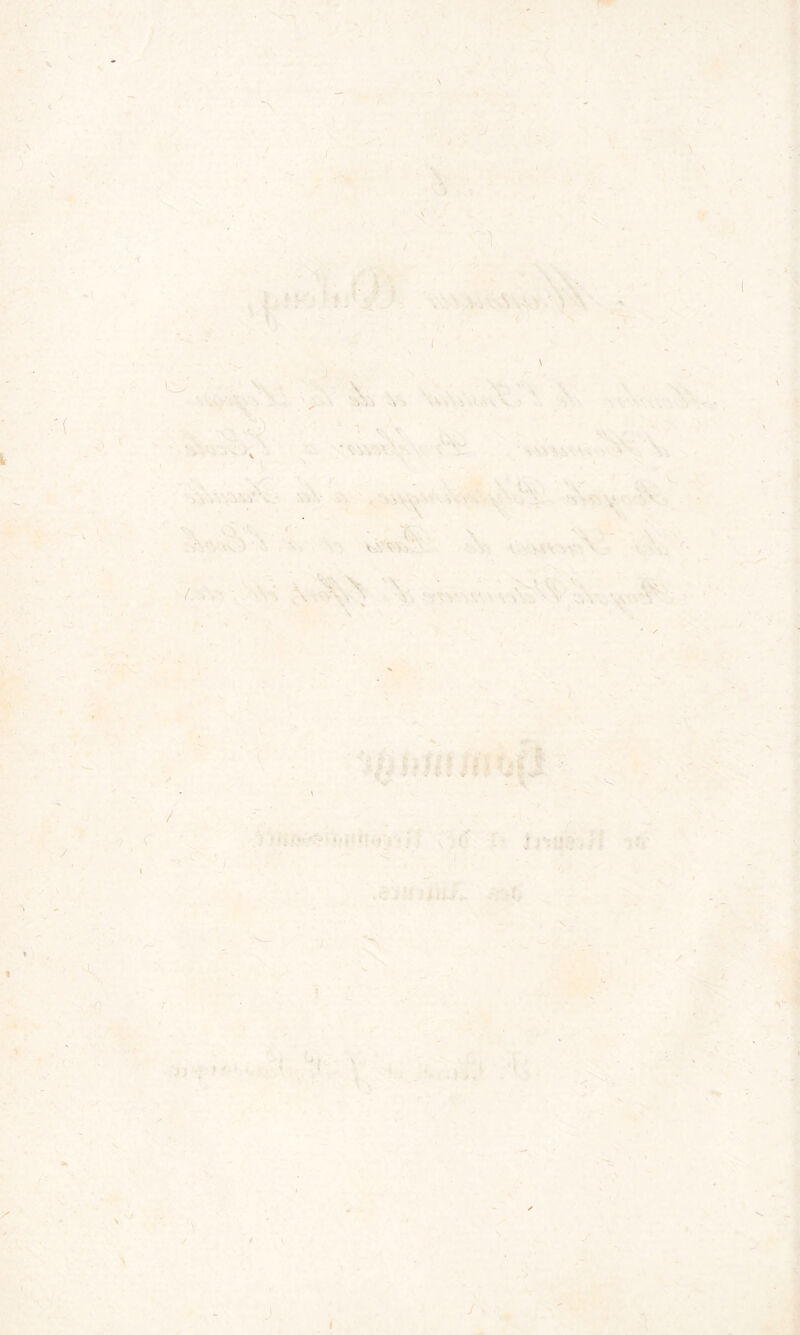 ^ ? v,\ v ! , . . I . , ; ' V v '.V vS ■ ■> v ;V» ■' 's \ ' • ,■ ■ ,, ’ * / •* . ; ’ ; -. » »■. > «