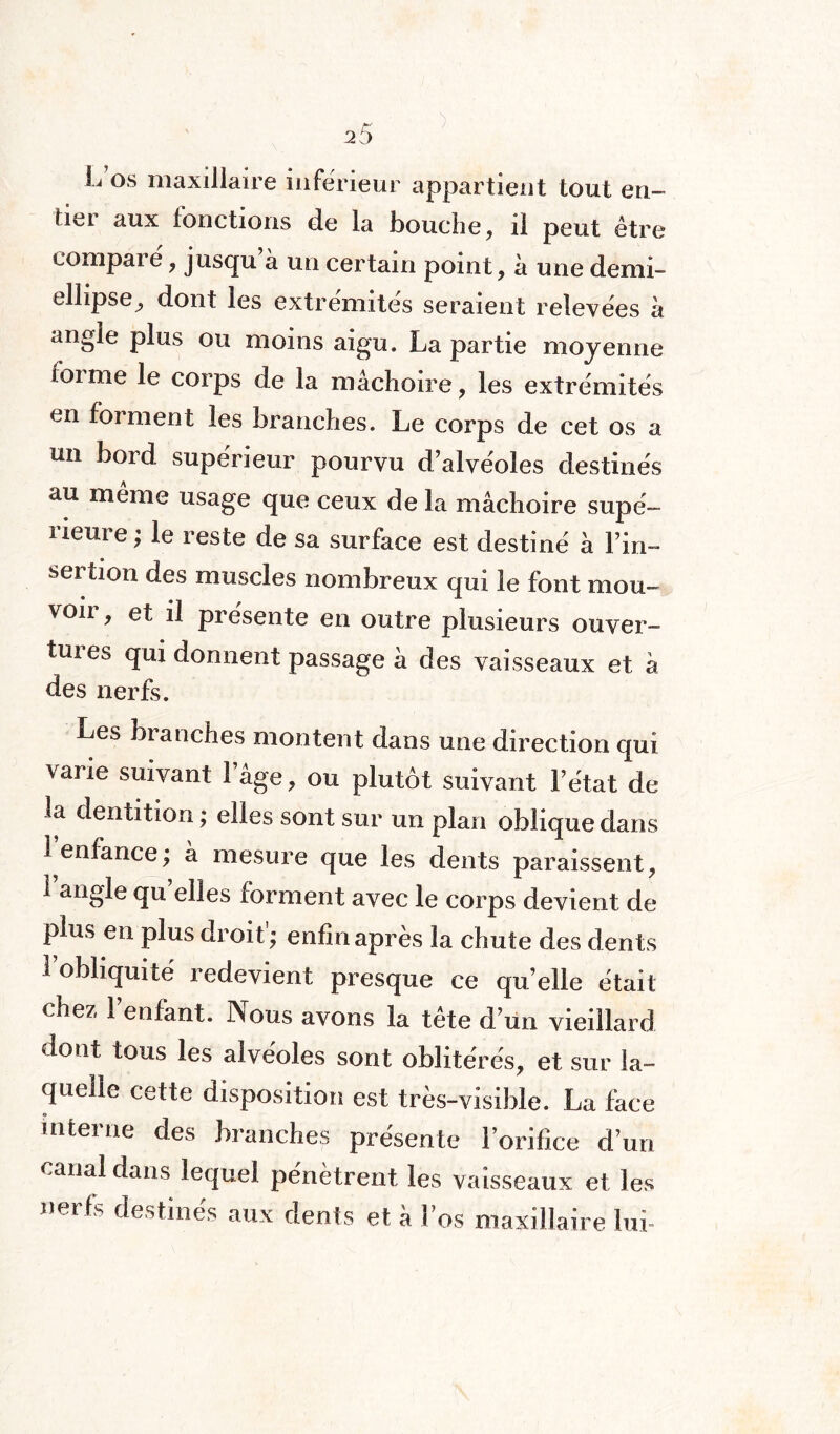 L os maxillaire inférieur appartient tout en¬ tier aux fonctions de la bouche, il peut être comparé, jusqu’à un certain point, à une demi- ellipse, dont les extrémités seraient relevées à angle plus ou moins aigu. La partie moyenne foi me le corps de la mâchoire, les extrémités en forment les branches. Le corps de cet os a un bord supérieur pourvu d’alvéoles destinés au même usage que ceux de la mâchoire supé¬ rieure; le reste de sa surface est destiné à l’in¬ sertion des muscles nombreux qui le font mou- voii, et il présente en outre plusieurs ouver¬ tures qui donnent passage à des vaisseaux et à des nerfs. Les branches montent dans une direction qui vaiie suivant 1 âge, ou plutôt suivant l’état de la dentition ; elles sont sur un plan oblique dans 1 enfance; à mesure que les dents paraissent, i angle qu elles forment avec le corps devient de plus en plus droit’; enfin après la chute des dents 1 obliquité redevient presque ce quelle était chez 1 enfant. INous avons la tête d’un vieillard dont tous les alvéoles sont oblitérés, et sur la¬ quelle cette disposition est très-visible. La face interne des branches présente l’orifice d’un canal dans lequel pénètrent les vaisseaux et les uerfs destinés aux dents et à Los maxillaire lui