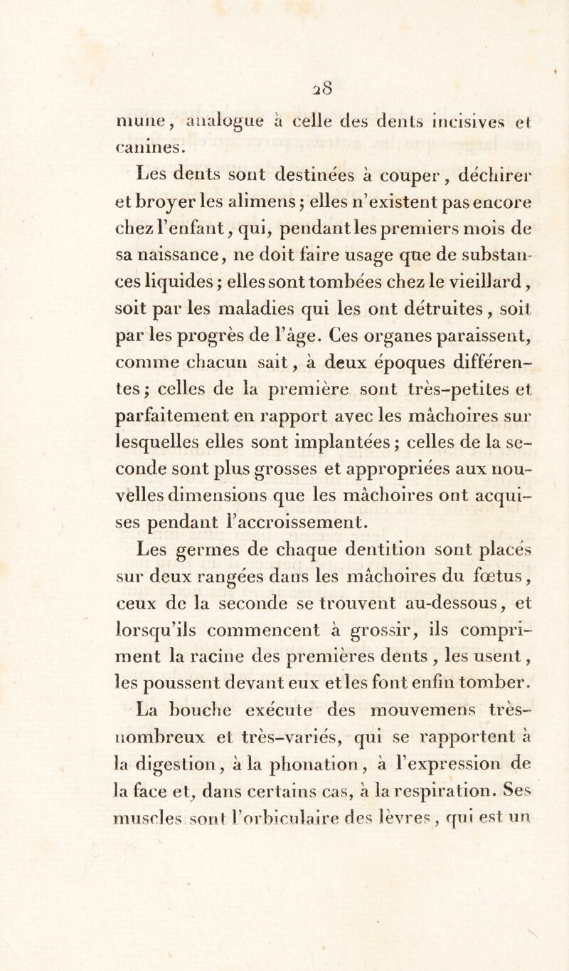 mune, analogue à celle des dents incisives et canines. Les dents sont destinées à couper , déchirer et broyer les alimens $ elles n’existent pas encore chez l’enfant, qui, pendant les premiers mois de sa naissance, ne doit faire usage que de substan¬ ces liquides ; elles sont tombées chez le vieillard, soit par les maladies qui les ont détruites, soit par les progrès de l’âge. Ces organes paraissent, comme chacun sait, à deux époques différen¬ tes ; celles de la première sont très-petites et parfaitement en rapport avec les mâchoires sur lesquelles elles sont implantées ; celles de la se¬ conde sont plus grosses et appropriées aux nou¬ velles dimensions que les mâchoires ont acqui¬ ses pendant l’accroissement. Les germes de chaque dentition sont placés sur deux rangées dans les mâchoires du fœtus, ceux de la seconde se trouvent au-dessous, et lorsqu’ils commencent à grossir, ils compri¬ ment la racine des premières dents , les usent, les poussent devant eux et les font enfin tomber. La bouche exécute des mouvemens très- nombreux et très-variés, qui se rapportent à la digestion, à la phonation, â l’expression de la face et, dans certains cas, â la respiration. Ses muscles sont Forbiculaire des lèvres , qui est un