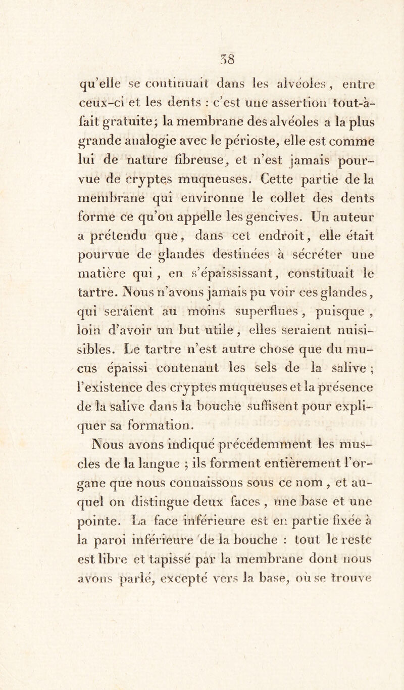 quelle se continuait dans les alvéolés, entre ceux-ci et les dents : c’est une assertion tout-à- fait gratuite ; la membrane des alvéolés a la plus grande analogie avec le périoste, elle est comme lui de nature fibreuse^ et n’est jamais pour¬ vue de cryptes muqueuses. Cette partie delà membrane qui environne le collet des dents forme ce qu’on appelle les gencives. Un auteur a prétendu que, dans cet endroit, elle était pourvue de glandes destinées à sécréter une matière qui, en s’épaississant, constituait le tartre. Nous n’avons jamais pu voir ces glandes, qui seraient au moins superflues, puisque , loin d’avoir un but utile , elles seraient nuisi- sibles. Le tartre n’est autre chose que du mu¬ cus épaissi contenant les sels de la salive ; l’existence des cryptes muqueuses et la présence de la salive dans la bouche suffisent pour expli¬ quer sa formation. Nous avons indiqué précédemment les mus¬ cles de la langue ; ils forment entièrement l’or¬ gane que nous connaissons sous ce nom , et au¬ quel on distingue deux faces , une base et une pointe. La face inférieure est en partie fixée à la paroi inférieure de la bouche : tout le reste est libre et tapissé par la membrane dont nous avons parlé, excepté vers la base, où se trouve