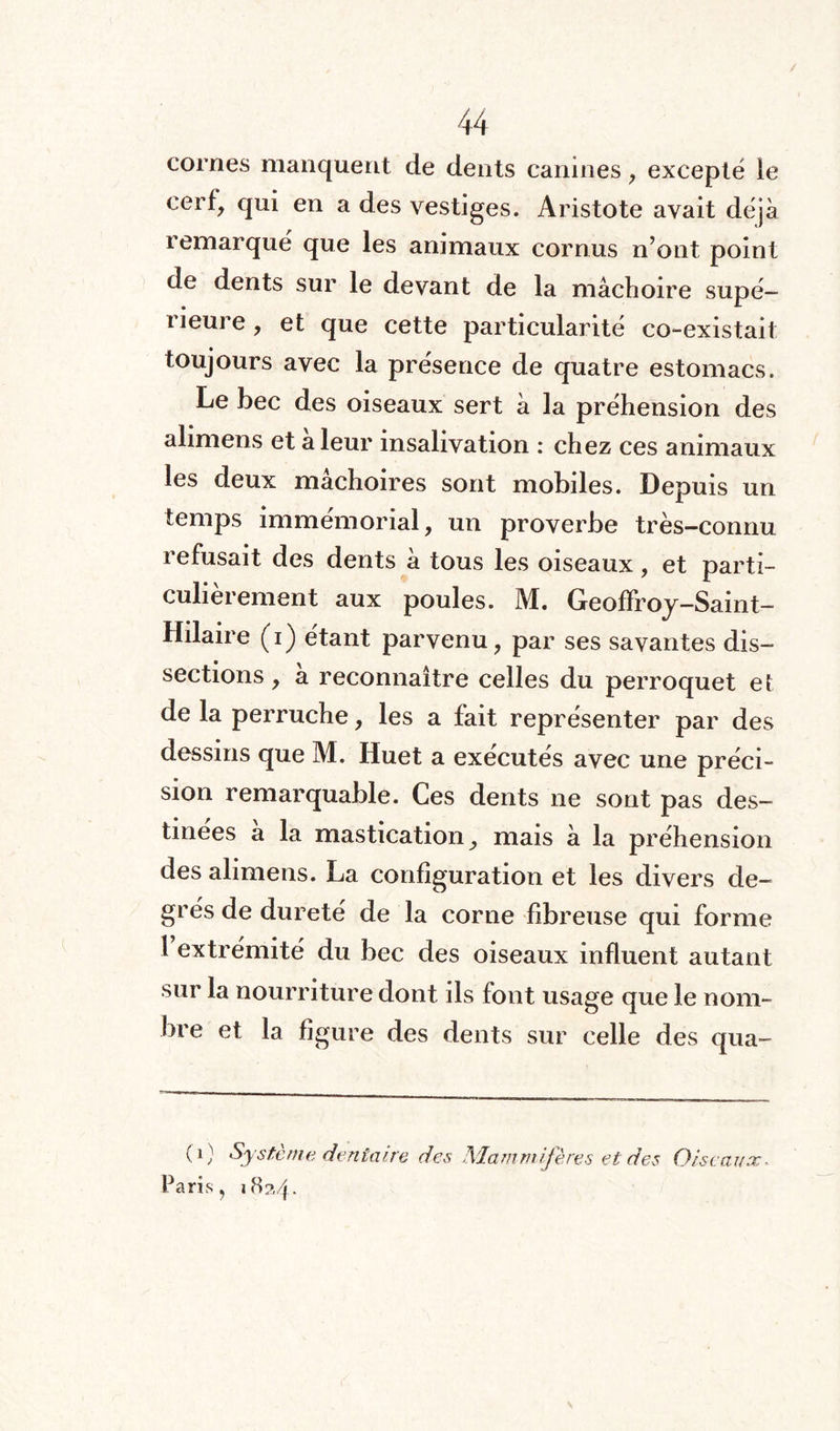 cornes manquent de dents canines, excepté le cerf, qui en a des vestiges. Aristote avait déjà remarqué que les animaux cornus n’ont point de dents sur le devant de la mâchoire supé¬ rieure , et que cette particularité co-existait toujours avec la présence de quatre estomacs. Le bec des oiseaux sert à la préhension des alimens et a leur insalivation : chez ces animaux les deux mâchoires sont mobiles. Depuis un temps immémorial, un proverbe très-connu refusait des dents à tous les oiseaux, et parti¬ culièrement aux poules. M. Geoffroy-Saint- Hilaire (i) étant parvenu, par ses savantes dis¬ sections , a reconnaître celles du perroquet et de la perruche, les a fait représenter par des dessins que M. Huet a exécutés avec une préci¬ sion remarquable. Ces dents ne sont pas des¬ tinées a la mastication, mais à la préhension des alimens. La configuration et les divers de¬ grés de dureté de la corne fibreuse qui forme l extrémité du bec des oiseaux influent autant sur la nourriture dont ils font usage que le nom¬ bre et la figure des dents sur celle des qua- (1} Système dentaire des Mammifères et des Oiseaux- Paris, 1824.