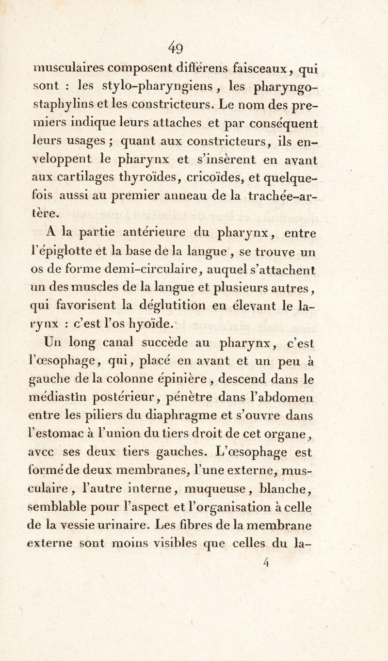 musculaires composent différents faisceaux, qui sont : les stylo-pharyngiens , les pharyngo- staphylins et les constricteurs. Le nom des pre¬ miers indique leurs attaches et par conséquent leurs usages ; quant aux constricteurs, ils en¬ veloppent le pharynx et s’insèrent en avant aux cartilages thyroïdes, cricoïdes, et quelque¬ fois aussi au premier anneau de la trachée-ar¬ tère. A la partie antérieure du pharynx, entre l’épiglotte et la base de la langue , se trouve un os de forme demi-circulaire, auquel s’attachent un des muscles de la langue et plusieurs autres, qui favorisent la déglutition en élevant le la¬ rynx : c’est l’os hyoïde. Un long canal succède au pharynx, c’est F oesophage, qui, placé en avant et un peu à gauche de la colonne épinière, descend dans le médiastin postérieur, pénètre dans l’abdomen entre les piliers du diaphragme et s’ouvre dans l’estomac à l’union du tiers droit de cet organe, avec ses deux tiers gauches. L’œsophage est formé de deux membranes, l’une externe, mus¬ culaire , l’autre interne, muqueuse, blanche, semblable pour l’aspect et l’organisation à celle de la vessie urinaire. Les fibres de la membrane externe sont moins visibles que celles du la- 4