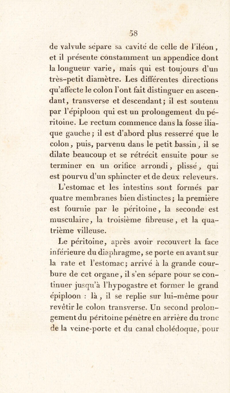 de valvule séparé sa cavité de celle de l’iléon, et il présente constamment un appendice dont la longueur varie, mais qui est toujours d’un très-petit diamètre. Les différentes directions qu’affecte le colon l’ont fait distinguer en ascen¬ dant, transverse et descendant; il est soutenu par l’épiploon qui est un prolongement du pé¬ ritoine. Le rectum commence dans la fosse ilia¬ que gauche ; il est d’abord plus resserré que le colon, puis, parvenu dans le petit bassin, il se dilate beaucoup et se rétrécit ensuite pour se terminer en un orifice arrondi, plissé, qui est pourvu d’un sphincter et de deux releveurs. L’estomac et les intestins sont formés par quatre membranes bien distinctes ; la première est fournie par le péritoine, la seconde est musculaire, la troisième fibreuse, et la qua¬ trième villeuse. Le péritoine, après avoir recouvert la face inférieure du diaphragme, se porte en avant sur la rate et l’estomac; arrivé à la grande cour¬ bure de cet organe, il s’en sépare pour se con¬ tinuer jusqu’à l’hypogastre et former le grand épiploon : là , il se replie sur lui-même pour revêtir le colon transverse. Un second prolon¬ gement du péritoine pénètre en arrière du tronc de la veine-porte et du canal cholédoque, pour