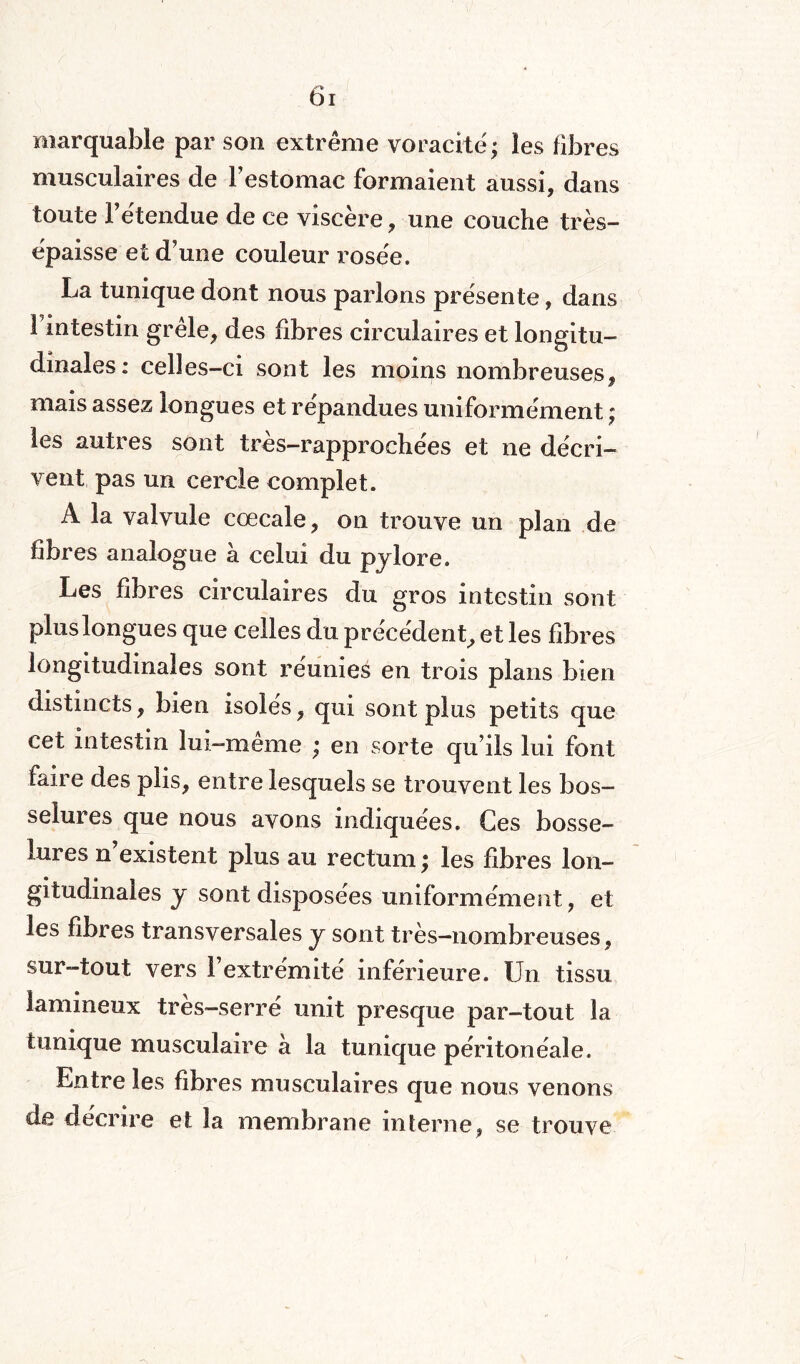 marquable par son extrême voracité; les fibres musculaires de Festomac formaient aussi, dans toute Fétendue de ce viscère, une couche très- épaisse et d’une couleur rosée. La tunique dont nous parlons présente, dans 1 intestin grêle, des fibres circulaires et longitu¬ dinales: celles-ci sont les moins nombreuses, mais assez longues et répandues uniformément ; les autres sont très-rapprochées et ne décri¬ vent pas un cercle complet. À la valvule cœcale, on trouve un plan de fibres analogue h celui du pylore. Les fibres circulaires du gros intestin sont plus longues que celles du précédent, et les fibres longitudinales sont réunies en trois plans bien distincts, bien isolés, qui sont plus petits que cet intestin lui—meme ; en sorte qu’ils lui font faire des plis, entre lesquels se trouvent les bos¬ selures que nous avons indiquées. Ces bosse¬ lures n existent plus au rectum ; les fibres lon¬ gitudinales y sont disposées uniformément, et les fibres transversales y sont très—nombreuses, sur-tout vers l’extrémité inférieure. Un tissu lamineux très-serré unit presque par-tout la tunique musculaire à la tunique péritonéale. Entre les fibres musculaires que nous venons de décrire et la membrane interne, se trouve