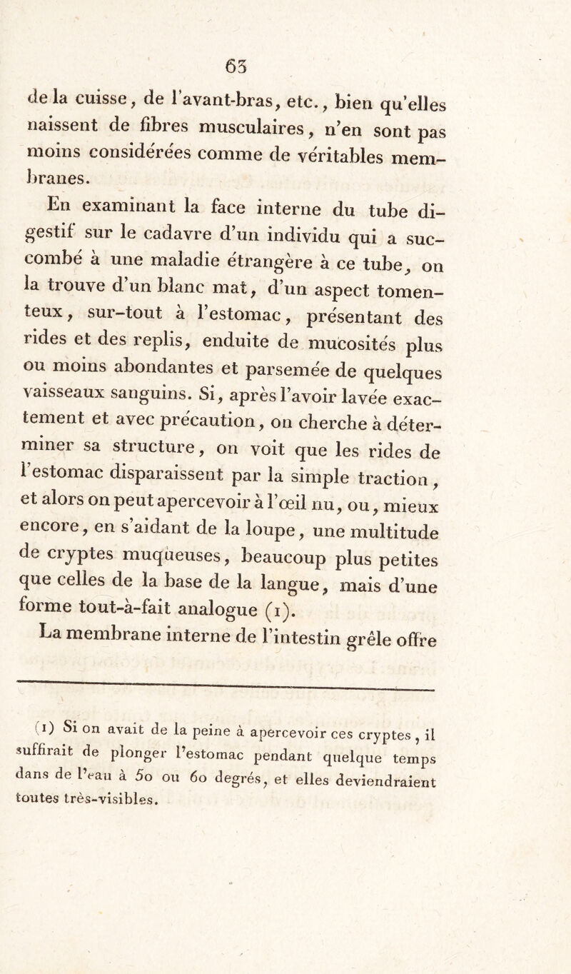 delà cuisse, de 1 avant-bras, etc., bien quelles naissent de fibi es musculaires, n’en sont pas moins conside're'es comme de véritables mem¬ branes. En examinant la face interne du tube di¬ gestif sur le cadavre d’un individu qui a suc¬ combé à une maladie étrangère à ce tube, on la trouve d’un blanc mat, d’un aspect tomen- teux, sur-tout à l’estomac, présentant des rides et des replis, enduite de mucosités plus ou moins abondantes et parsemee de quelques vaisseaux sanguins. Si, après l’avoir lavée exac¬ tement et avec précaution, on cherche à déter¬ miner sa structure, on voit que les rides de 1 estomac disparaissent par la simple traction , et alors on peut apercevoir à l’œil nu, ou, mieux encore, en s aidant de la loupe, une multitude de cryptes muqueuses, beaucoup plus petites que celles de la base de la langue, mais d’une forme tout-à-fait analogue (i). La membrane interne de l’intestin grêle offre i) Si on avait de la peine à apercevoir ces cryptes , il suffirait de plonger l’estomac pendant quelque temps dans de l’eau à 5o ou 60 degrés, et elles deviendraient toutes très-visibles.
