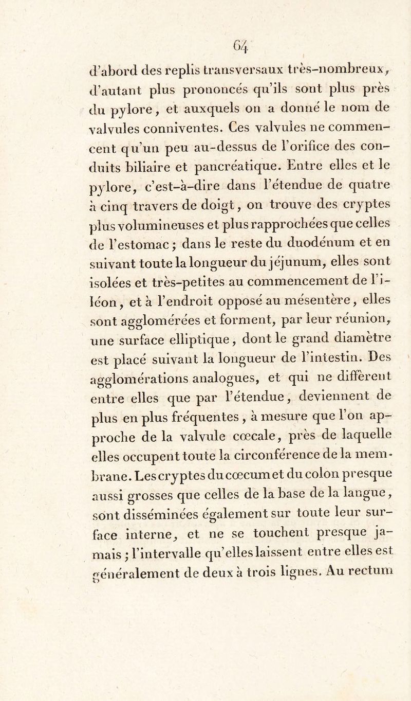 d’abord des replis transversaux très-nombreux, d’autant plus prononcés qu’ils sont plus près du pylore, et auxquels on a donné le nom de valvules conniventes. Ces valvules ne commen¬ cent qu’un peu au-dessus de l’orifice des con¬ duits biliaire et pancréatique. Entre elles et le pylore, c’est-à-dire dans l’étendue de quatre à cinq travers de doigt, on trouve des cryptes plus volumineuses et plus rapprochées que celles de l’estomac ; dans le reste du duodénum et en suivant toute la longueur du jéjunum, elles sont isolées et très-petites au commencement de 1 i- Iéon, et à l’endroit opposé au mésentère, elles sont agglomérées et forment, par leur réunion, une surface elliptique, dont le grand diamètre est placé suivant la longueur de l’intestin. Des agglomérations analogues, et qui ne diffèrent entre elles que par l’étendue, deviennent de plus en plus fréquentes , à mesure que l’on ap¬ proche de la valvule cœcale, près de laquelle elles occupent toute la circonférence de la mem¬ brane. Les cryptes du cæcum et du colon presque aussi grosses que celles de la base de la langue , sont disséminées également sur toute leur sur¬ face interne, et ne se touchent presque ja¬ mais ; l’intervalle qu’elles laissent entre elles est généralement de deux à trois lignes. Au rectum