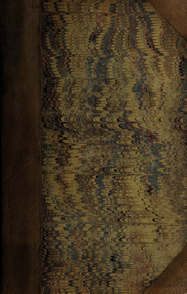 No text description is available for this image