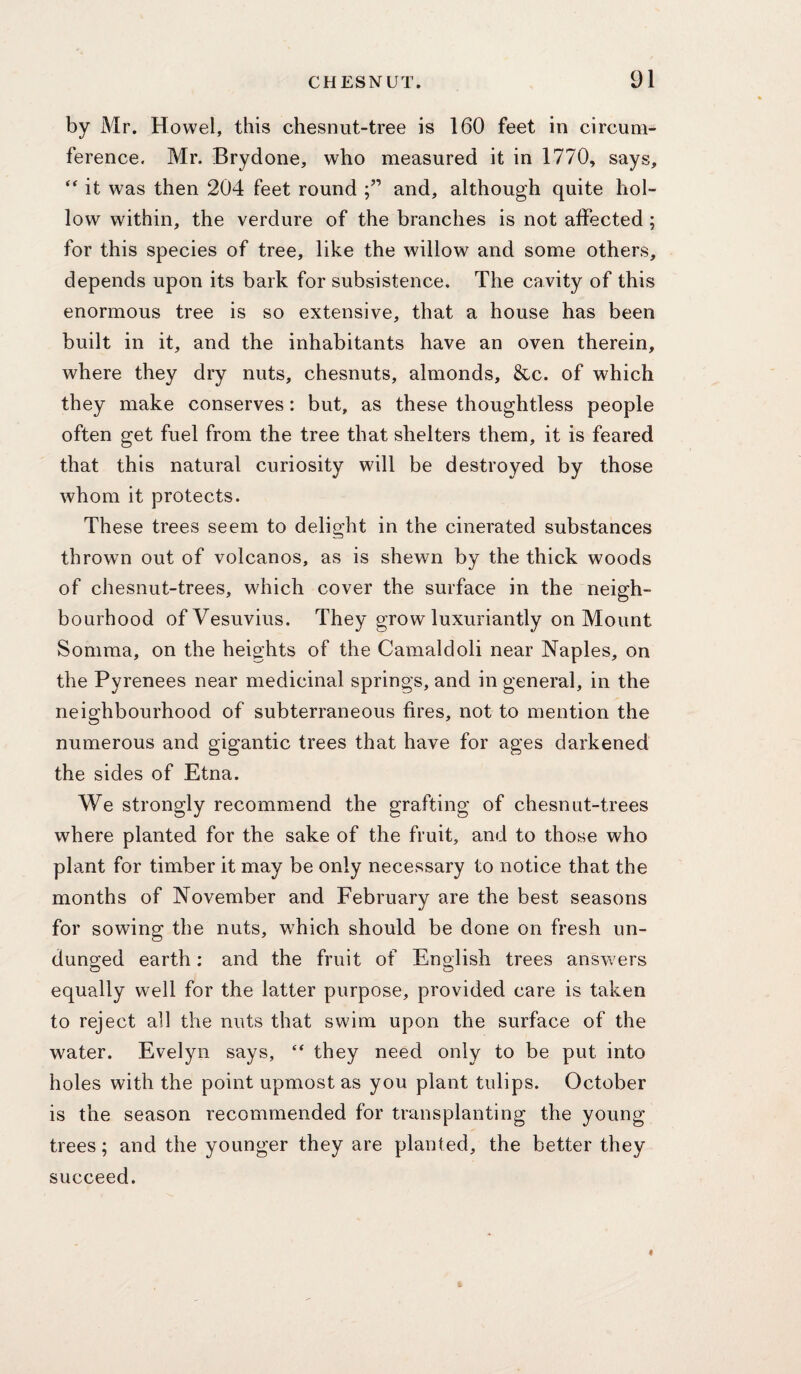 by Mr. Howel, this chesnut-tree is 160 feet in circum¬ ference. Mr. Brydone, who measured it in 1770, says, “ it was then 204 feet round and, although quite hol¬ low within, the verdure of the branches is not affected ; for this species of tree, like the willow and some others, depends upon its bark for subsistence. The cavity of this enormous tree is so extensive, that a house has been built in it, and the inhabitants have an oven therein, where they dry nuts, chesnuts, almonds, &c. of which they make conserves: but, as these thoughtless people often get fuel from the tree that shelters them, it is feared that this natural curiosity will be destroyed by those whom it protects. These trees seem to delight in the cinerated substances thrown out of volcanos, as is shewn by the thick woods of chesnut-trees, which cover the surface in the neigh¬ bourhood of Vesuvius. They grow luxuriantly on Mount Somma, on the heights of the Carnaldoli near Naples, on the Pyrenees near medicinal springs, and in general, in the neighbourhood of subterraneous fires, not to mention the numerous and gigantic trees that have for ages darkened the sides of Etna. We strongly recommend the grafting of chesnut-trees where planted for the sake of the fruit, and to those who plant for timber it may be only necessary to notice that the months of November and February are the best seasons for sowing the nuts, which should be done on fresh un¬ dunged earth; and the fruit of English trees ansv/ers equally well for the latter purpose, provided care is taken to reject all the nuts that swim upon the surface of the water. Evelyn says, “ they need only to be put into holes with the point upmost as you plant tulips. October is the season recommended for transplanting the young trees; and the younger they are planted, the better they succeed.