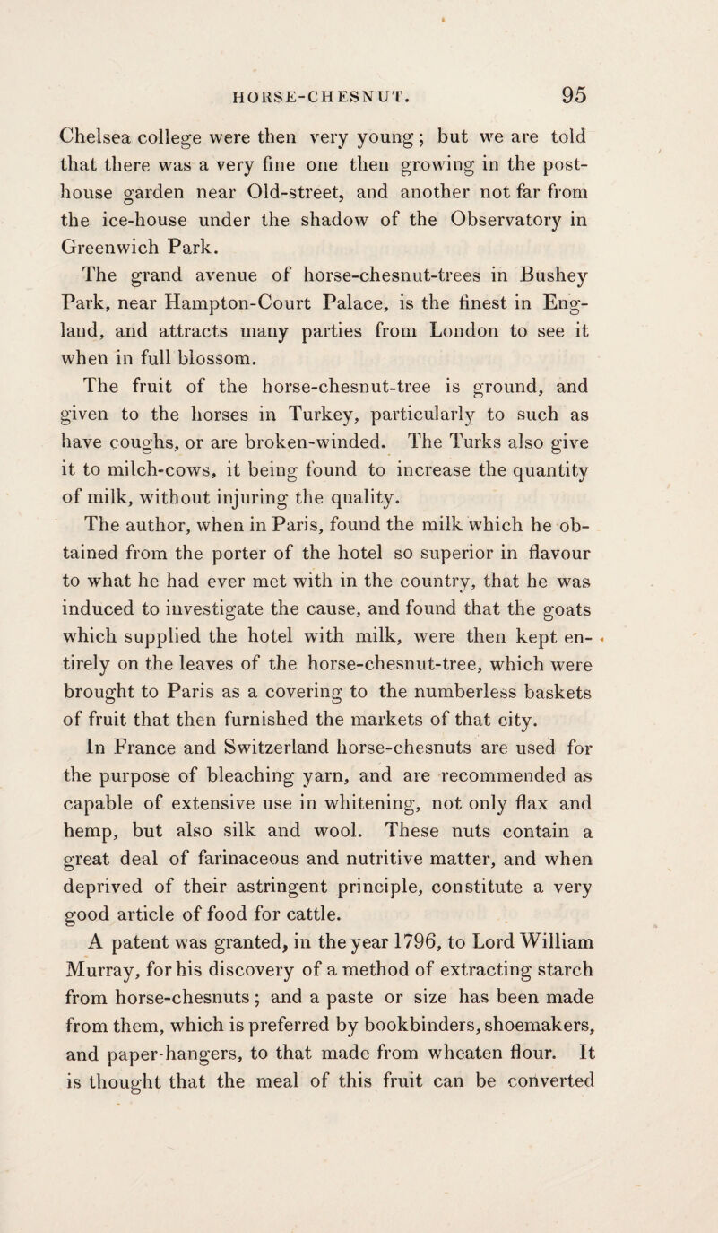 Chelsea college were then very young; but we are told that there was a very fine one then growing in the post- house Q^arden near Old-street, and another not far from the ice-house under the shadow of the Observatory in Greenwich Park. The grand avenue of horse-chesnut-trees in Bushey Park, near Hampton-Court Palace, is the finest in Eng¬ land, and attracts many parties from London to see it when in full blossom. The fruit of the horse-chesnut-tree is ground, and given to the horses in Turkey, particularly to such as have coughs, or are broken-winded. The Turks also give it to milch-cows, it being found to increase the quantity of milk, without injuring the quality. The author, when in Paris, found the milk which he ob¬ tained from the porter of the hotel so superior in flavour to what he had ever met with in the country, that he was induced to investigate the cause, and found that the goats which supplied the hotel with milk, were then kept en- tirely on the leaves of the horse-chesnut-tree, which were brought to Paris as a covering to the numberless baskets of fruit that then furnished the markets of that city. In France and Switzerland horse-chesnuts are used for the purpose of bleaching yarn, and are recommended as capable of extensive use in whitening, not only flax and hemp, but also silk and wool. These nuts contain a great deal of farinaceous and nutritive matter, and when deprived of their astringent principle, constitute a very good article of food for cattle. A patent was granted, in the year 1796, to Lord William Murray, for his discovery of a method of extracting starch from horse-chesnuts; and a paste or size has been made from them, which is preferred by bookbinders, shoemakers, and paper-hangers, to that made from wheaten flour. It is thought that the meal of this fruit can be corlverted
