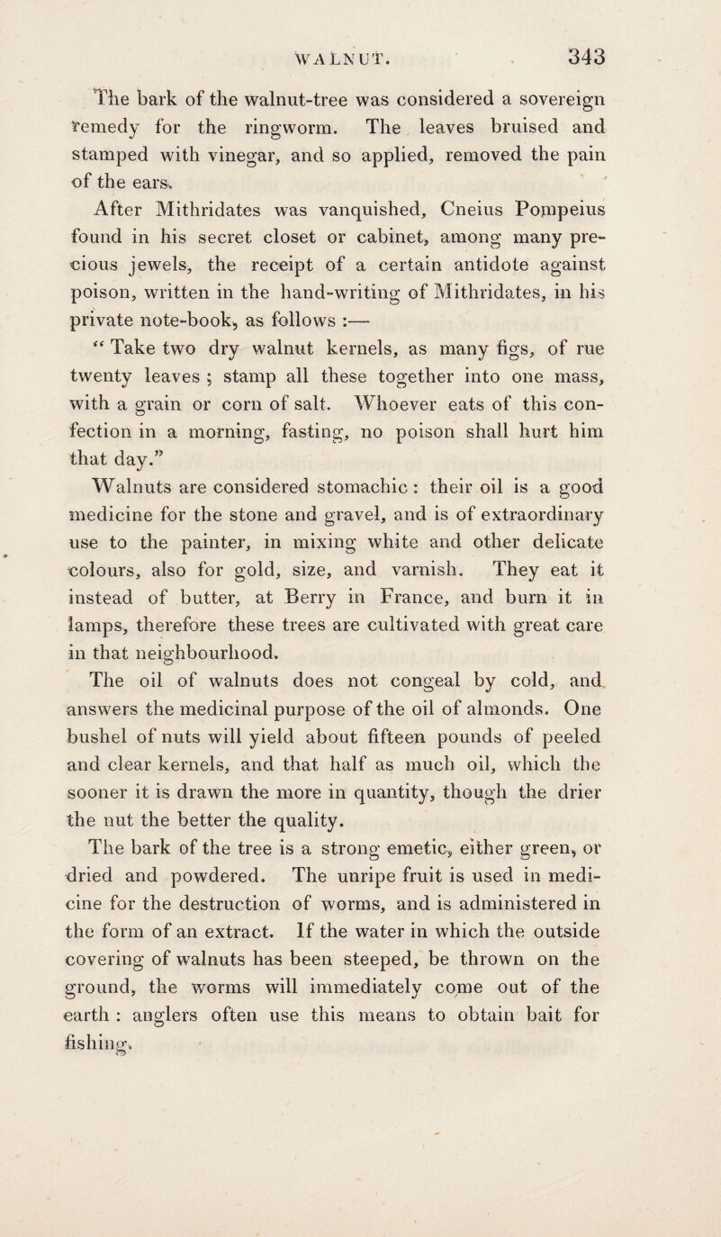 The bark of the walnut-tree was considered a sovereign temedy for the ringworm. The leaves bruised and stamped with vinegar, and so applied, removed the pain of the ears. After Mithridates was vanquished, Cneius Potnpeius found in his secret closet or cabinet, among many pre¬ cious jewels, the receipt of a certain antidote against poison, written in the hand-writing of Mithridates, in his private note-book, as follows :— Take two dry walnut kernels, as many figs, of rue twenty leaves ; stamp all these together into one mass, with a grain or corn of salt. Whoever eats of this con¬ fection in a morning, fasting, no poison shall hurt him that day.” Walnuts are considered stomachic: their oil is a good medicine for the stone and gravel, and is of extraordinary use to the painter, in mixing white and other delicate colours, also for gold, size, and varnish. They eat it instead of butter, at Berry in France, and burn it in lamps, therefore these trees are cultivated with great care in that neighbourhood. The oil of walnuts does not congeal by cold, and answers the medicinal purpose of the oil of almonds. One bushel of nuts will yield about fifteen pounds of peeled and clear kernels, and that half as much oil, which the sooner it is drawn the more in quantity, though the drier the nut the better the quality. The bark of the tree is a strong emetic, either green, or dried and powdered. The unripe fruit is used in medi¬ cine for the destruction of worms, and is administered in the form of an extract. If the water in which the outside covering of walnuts has been steeped, be thrown on the ground, the worms will immediately come out of the earth : anglers often use this means to obtain bait for fishing. ?7>