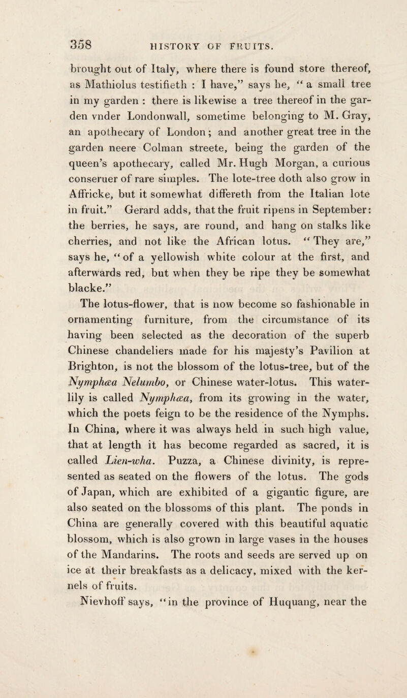brought out of Italy, where there is found store thereof, as Mathiolus testifieth : I have,’^ says he, a small tree in my garden : there is likewise a tree thereof in the gar¬ den vnder London wall, sometime belonging to M. Gray, an apothecary of London; and another great tree in the garden neere Colman streete, being the garden of the queen’s apothecary, called Mr. Hugh Morgan, a curious conseruer of rare simples. The lote-tree doth also grow in Affricke, but it somewhat differeth from the Italian lote in fruit.” Gerard adds, that the fruit ripens in September: the berries, he says, are round, and hang on stalks like cherries, and not like the African lotus. They are,” says he, ^‘of a yellowish white colour at the first, and afterwards red, but when they be ripe they be somewhat blacke.” The lotus-flower, that is now become so fashionable in ornamenting furniture, from the circumstance of its having been selected as the decoration of the superb Chinese chandeliers made for his majesty’s Pavilion at Brighton, is not the blossom of the lotus-tree, but of the NymphcRa Nelumbo, or Chinese water-lotus. This water- lily is called Nymphcsa, from its growing in the water, which the poets feign to be the residence of the Nymphs. In China, where it was always held in such high value, that at length it has become regarded as sacred, it is called Lien-wha. Puzza, a Chinese divinity, is repre¬ sented as seated on the flowers of the lotus. The gods of Japan, which are exhibited of a gigantic figure, are also seated on the blossoms of this plant. The ponds in China are generally covered with this beautiful aquatic blossom, which is also grown in large vases in the houses of the Mandarins. The roots and seeds are served up on ice at their breakfasts as a delicacy, mixed with the ker¬ nels of fruits. Nievhoff says, “in the province of Huquang, near the