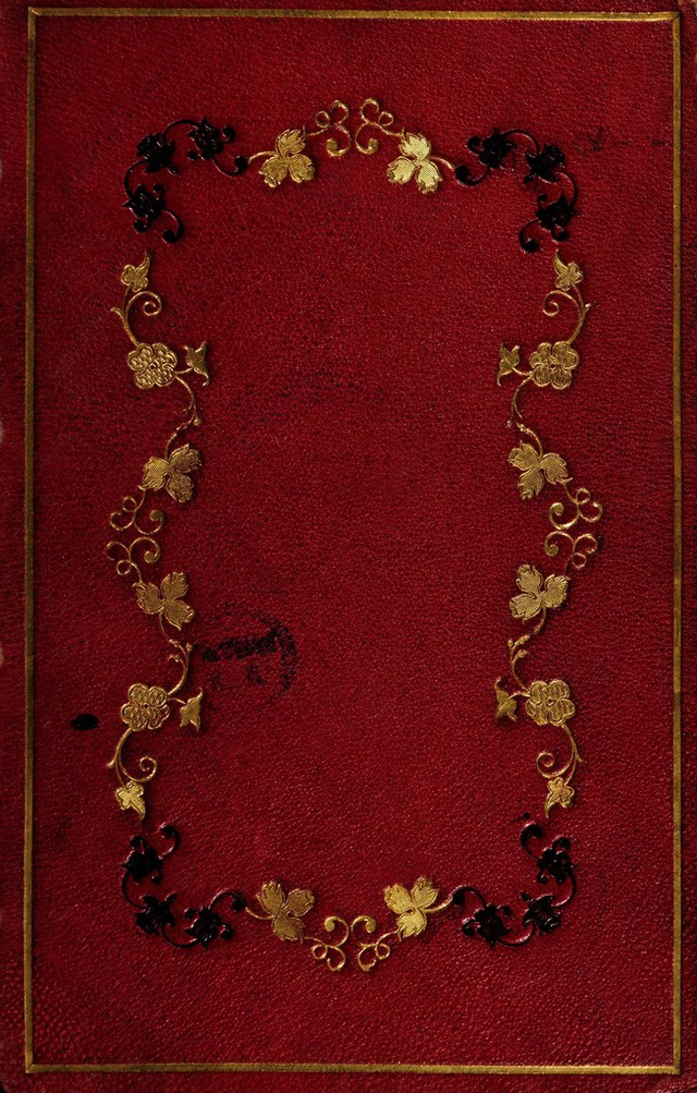 digitised image 1