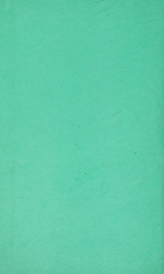 digitised image 2