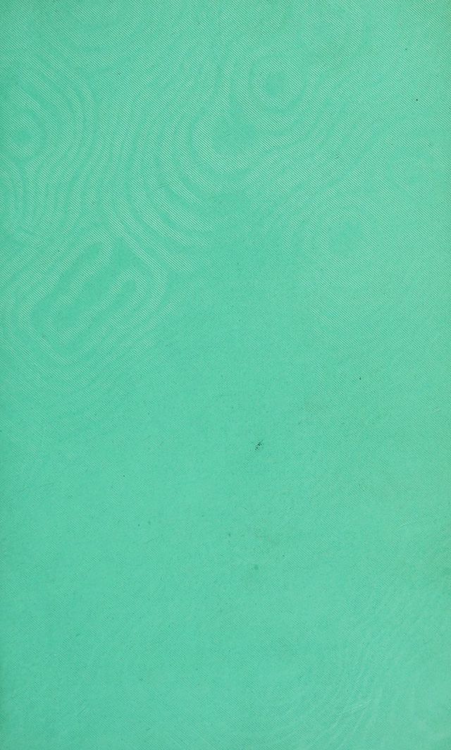 digitised image 3