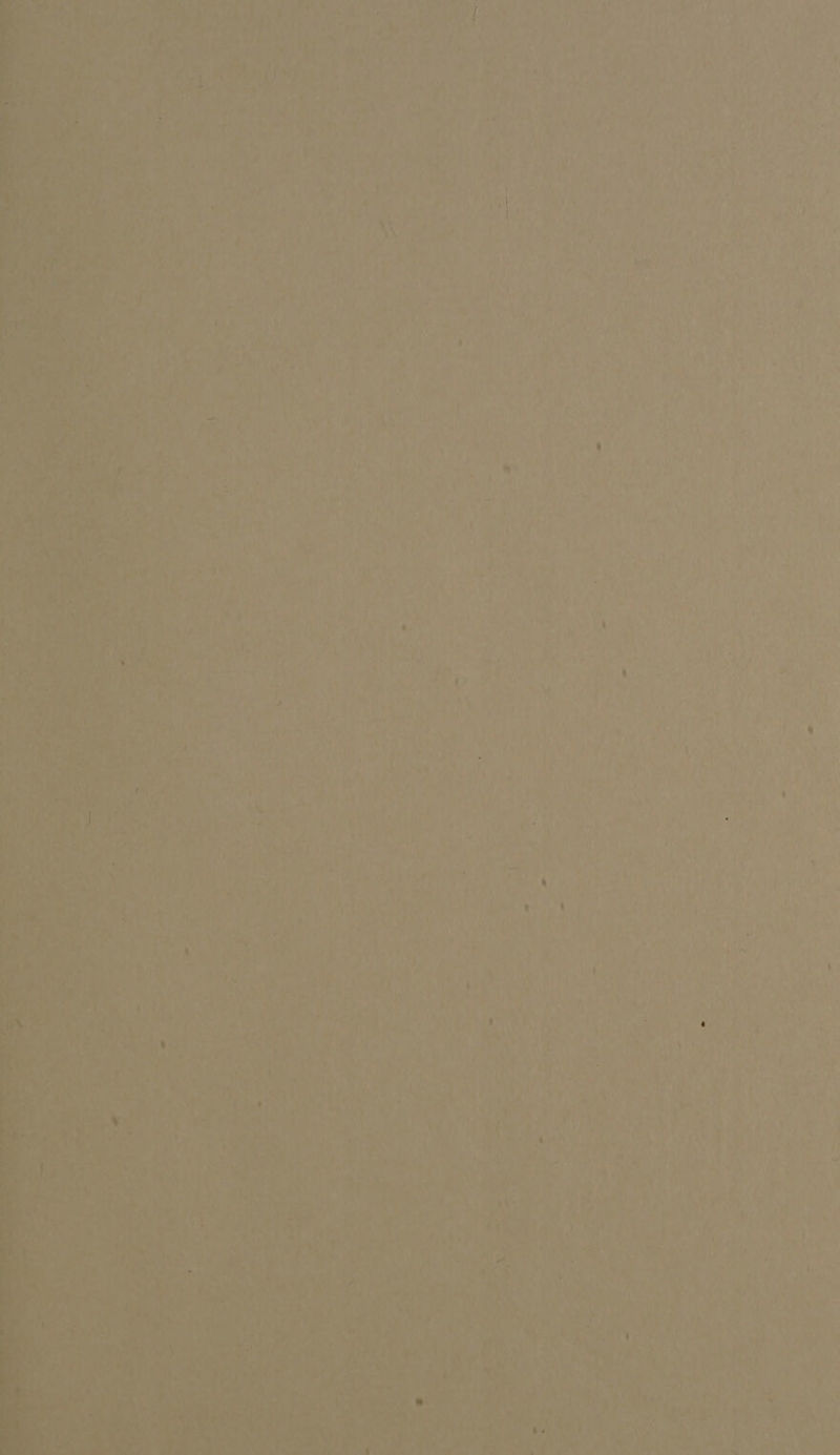     ry ee eee , reno 1, La wate ME i te ee - > as } Sines a ar 4 + ‘ q i ) ql ’ vr f Pad igs Crete &amp; a) ’ | ’ 4 oy J r we “7 >. [ aes WA 1 4 ij 7 ee - f ’ - ! ‘ ld 4 sh . § ‘ i ' ‘ of ; 7 7 M ? . J : » * ( é ’ 7 A ‘ 4 ‘ ‘v : 4 ‘ tu 4 ‘ . 7 , Ea ;  ‘ t ; x e { 7 ‘ ‘ ‘ ’ A , Nae t y : 4 ») Fi A Tats, “ 7 ce 4 ae ale , OH | Hl kiy: he ds ig rh . iy ro yup t his « Sp ee 4 4 ure aS - ‘a i 1) e's . 72 be ha Deh) ath Seabee yn ‘} : ie Matt P é wi At p “ b | iy 2 w 4 iy a >  £ a: