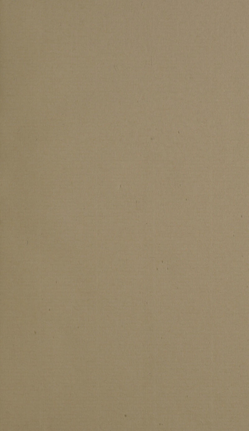 pA ha Bg : AES tyes oh aye) ot p ?, ‘iY yi a . * 