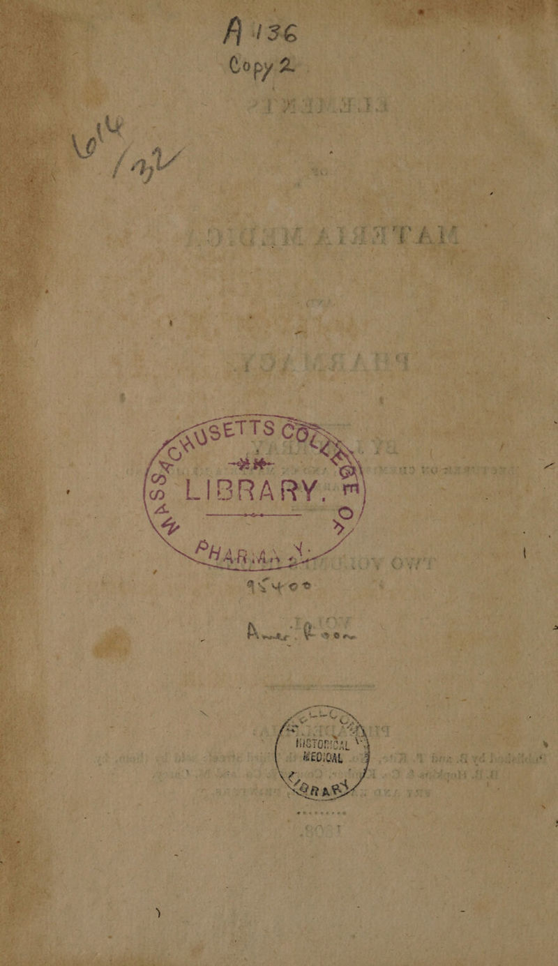 x ; cio eet 3d ye bivte in 