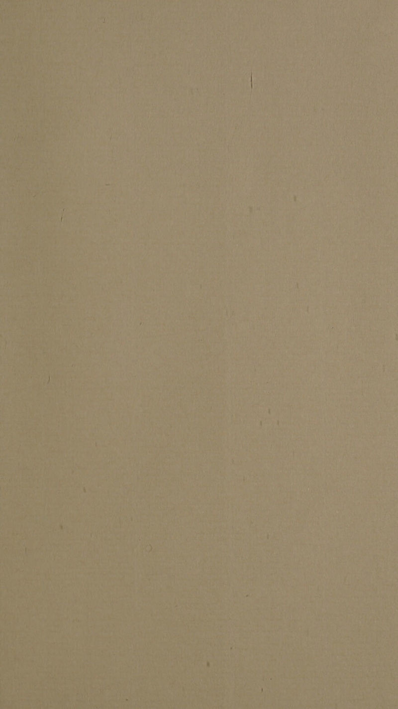 Py BSG 7 PA ad a ‘ a a ‘ 