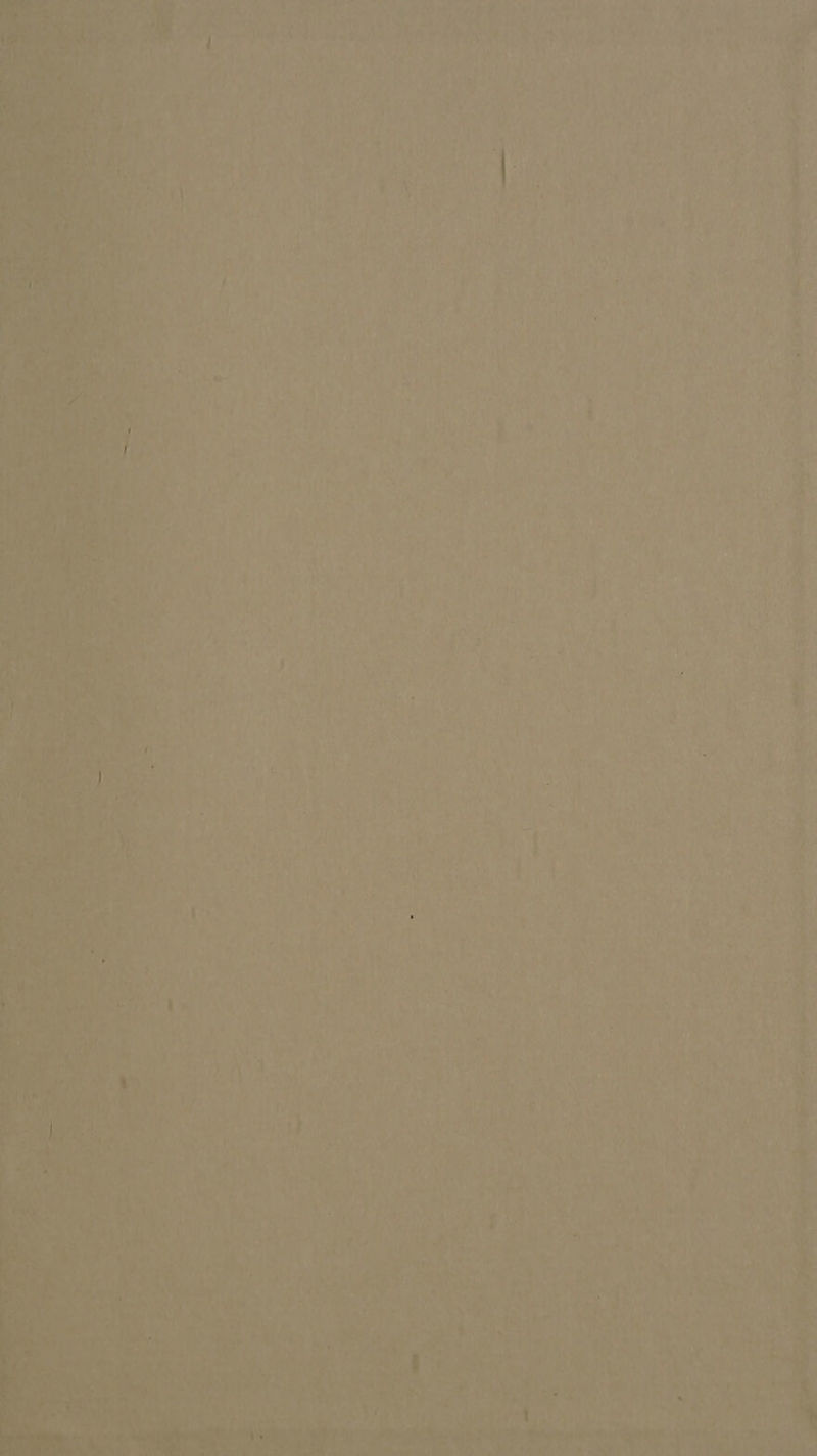 4 ‘ ei pa halk 4 i i f ; } ; 4 s { i ae . u a ‘ f ne oe % Ny ’ , of 4 we fv es) ml d : | i “— > = A ete! \ - ; ‘ ; } )      5 F in i q ae J ; ’ | nant Vs r y 4 MI , nd ; p he ca if hy 7 ‘ vi Ul . - hd ~ i , J : “aN « } é oe ‘ , : ' of: ( feet i ) onke ‘ 3 a ; it. ; » ? fe J an SF ‘ ee ar \s 4 , BY J ; a * 4 Pom 4 , ? ue . 4 ae } 5 ae , ¥ “4 Pad ; } ete SAN a a “) ‘ oe. Wet 3. ius ha ¥ a ae Fr, ‘ bess ; - 2 3 1 fc i on ' ; at; ; + i i ' wy * es ee ee ) # Fee 0) { . fs ’ ve A, 5 a } ign}