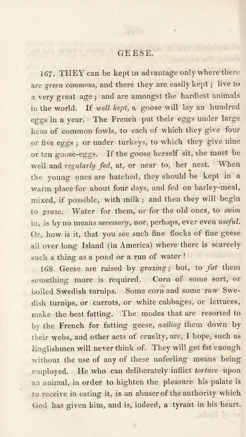 GEESE. 167. THEY can be kept to advantage only where there are green commons, and there they are easily kept; live to a very great age; and are amongst the hardiest animals in the world. If well kept, a goose will lay an hundred eggs in a year. The French put their eggs under large hens of common fowls, to each of which they give four or five eggs • or under turkeys, to which they give nine or ten goose-eggs. If the goose herself sit, she must be well and regularly fed, at, or near to, her nest. When the young ones are hatched, they should be kept in a warm place for about four days, and fed on barley-meal, mixed, if possible, with milk 5 and then they will begin to graze* Whiter for them, or for the old ones, to swim in, is by no means necessary, nor, perhaps, ever even useful. Or, how is it, that you see such fine flocks of fine geese all over long Island (in America) where there is scarcely such a thing as a pond or a run of waiter ! 168. Geese are raised by grazing; but, to fat them something more is required. Corn of some sort, or boiled Swedish turnips. Some corn and some raw Swe- dish turnips, or carrots, or white cabbages, or lettuces, make the best fatting. The modes that are resorted to by the French for fatting geese, nailing them down by their \yebs, and other acts of cruelty, are, I hope, such as Englishmen will never think of. They will get fat enough without the use of any of these unfeeling means being employed. He who can deliberately inflict torture upon 'an animal, in order to highten the pleasure his palate is to receive in eating it, is an abuser of the authority which God has given him, and is, indeed, a tyrant in his heart.