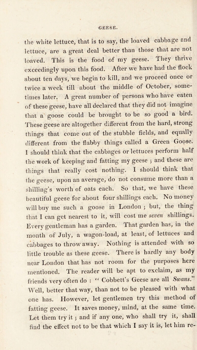 the white lettuce, that is to say, the loaved cabbage c<na lettuce, are a great deal better thau those that are not loaved. This is the food of my geese. They thrive exceedingly upon this food. After we have had the flock about ten days, we begin to kill, and we proceed once or twice a week till about the middle of October, some- times later, A great number of persons who have eaten of these geese, have all declared that they did not imagine that a goose could be brought to be so good a bird. These geese are altogether different from the hard, strong things that come out of the stubble fields, and equally different from the flabby things called a Green Goose. I should think that the cabbages or lettuces perform half the work of keeping and fatting my geese 5 and these are things that really cost nothing. I should think that the creese, upon an average, do not consume more than a shilling’s worth of oats each. So that, we have these beautiful geese for about four shillings each. No money will buy me such a goose in London 5 but, the thing that I can get nearest to it, will cost me seven shillings. Every gentleman has a garden. That garden has, in the month of July, a wagon-load, at least, of lettuces and cabbages to throwaway. Nothing is attended with so little trouble as these geese. There is hardly any body near London that has not room for the purposes here mentioned. 1 he reader will be apt to exclaim, as my friends very often do : “ Cobbett’s Geese are all Swans. Well, better that way, than not to be pleased with what one has. However, let gentlemen try this method of fatting geese. It saves money, mind, at the same time. Let them try it 5 and if any one, who shall try it, shall find tin? effect not to be that which I say it is, let him re-