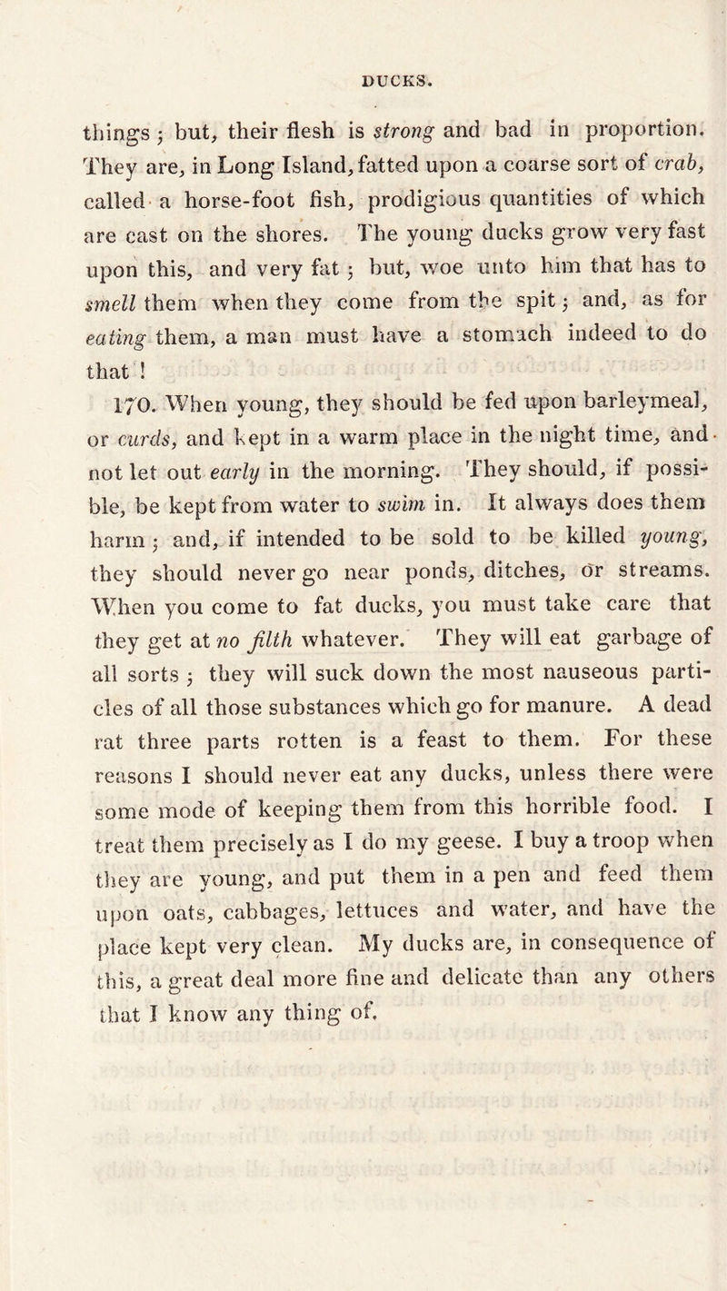 things 3 but, their flesh is strong and bad in proportion. They are, in Long Island, fatted upon a coarse sort of crab, called a horse-foot fish, prodigious quantities of which are cast on the shores. The young ducks grow very fast upon this, and very fat 3 but, woe unto him that has to smell them when they come from the spit 5 and, as for eating them, a man must have a stomach indeed to do that ! 170. When young, they should be fed upon barleymeal, or curds, and kept in a warm place in the night time, and- not let out early in the morning. They should, if possi- ble, be kept from water to swim in. It always does them harm 3 and, if intended to be sold to be killed young, they should never go near ponds, ditches, or streams. When you come to fat ducks, you must take care that they get at no filth whatever. They will eat garbage of all sorts 3 they will suck down the most nauseous parti- cles of all those substances which go for manure. A dead rat three parts rotten is a feast to them. For these reasons I should never eat any ducks, unless there were some mode of keeping them from this horrible food. I treat them precisely as I do my geese. I buy a troop when they are young, and put them in a pen and feed them upon oats, cabbages, lettuces and water, and have the place kept very clean. My ducks are, in consequence of this, a great deal more fine and delicate than any others that I know any thing of.