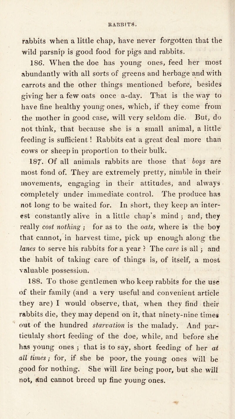 rabbits when a little chap, have never forgotten that the wild parsnip is good food for pigs and rabbits. 186. When the doe has young ones, feed her most abundantly with all sorts of greens and herbage and with carrots and the other things mentioned before, besides giving her a few oats once a-day. That is the way to have fine healthy young ones, which, if they come from the mother in good case, will very seldom die. But, do not think, that because she is a small animal, a little feeding is sufficient! Rabbits eat a great deal more than cows or sheep in proportion to their bulk. 187- Of all animals rabbits are those that boys are most fond of. They are extremely pretty, nimble in their movements, engaging in their attitudes, and always completely under immediate control. The produce has not long to be waited for. In short, they keep an inter- est constantly alive in a little chap’s mind ; and, they really cost nothing ; for as to the oats, where is the boy that cannot, in harvest time, pick up enough along the lanes to serve his rabbits for a year ? The care is all ; and the habit of taking care of things is, of itself, a most valuable possession. 188. To those gentlemen who keep rabbits for the use of their family (and a very useful and convenient article they are) I would observe, that, when they find their rabbits die, they may depend on it, that ninety-nine times out of the hundred starvation is the malady. And par- ticulaly short feeding of the doe, while, and before she has young ones ; that is to say, short feeding of her at all times; for, if she be poor, the young ones will be good for nothing. She will live being poor, but she will not, and cannot breed up fine young ones.