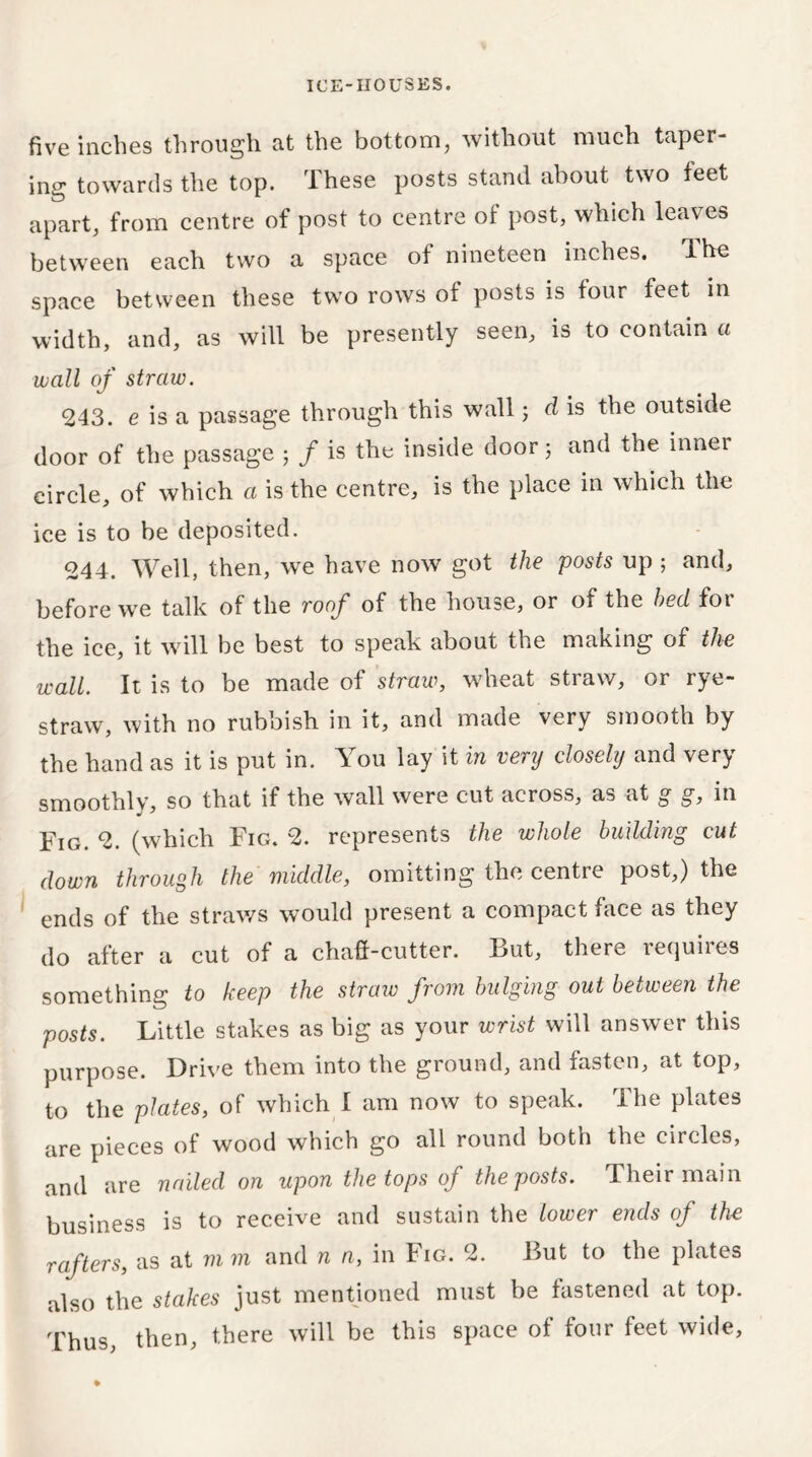 five inches through at the bottom, without much taper- ing towards the top. These posts stand about two feet apart, from centre of post to centre of post, which leaves between each two a space of nineteen inches. The space between these two rows of posts is four feet in width, and, as will be presently seen, is to contain a wall of straw. 243. e is a passage through this wall; d is the outside door of the passage ; / is the inside door 3 and the inner circle, of which a is the centre, is the place in which the ice is to be deposited. 244. Well, then, we have now got the posts up ; and, before we talk of the roof of the house, or of the bed for the ice, it will be best to speak about the making of the wall. It is to be made of straw, wheat straw, or rye- straw, with no rubbish in it, and made very smooth by the hand as it is put in. You lay it in very closely and very smoothly, so that if the wall were cut across, as at g g, in Fig. 2. (which Fig. 2. represents the whole building cut down through the middle, omitting the centre post,) the ends of the straws would present a compact face as they do after a cut of a chaff-cutter. But, there requires something to keep the straw from bulging out between the posts. Little stakes as big as your wrist will answer this purpose. Drive them into the ground, and fasten, at top, to the plates, of which I am now to speak. The plates are pieces of wood which go all round both the circles, and are nailed on upon the tops of the posts. Their main business is to receive and sustain the lower ends of the rafters, as at m m and n n, in Fig. 2. But to the plates also the stakes just mentioned must be fastened at top. Thus then, there will be this space of four feet wide,