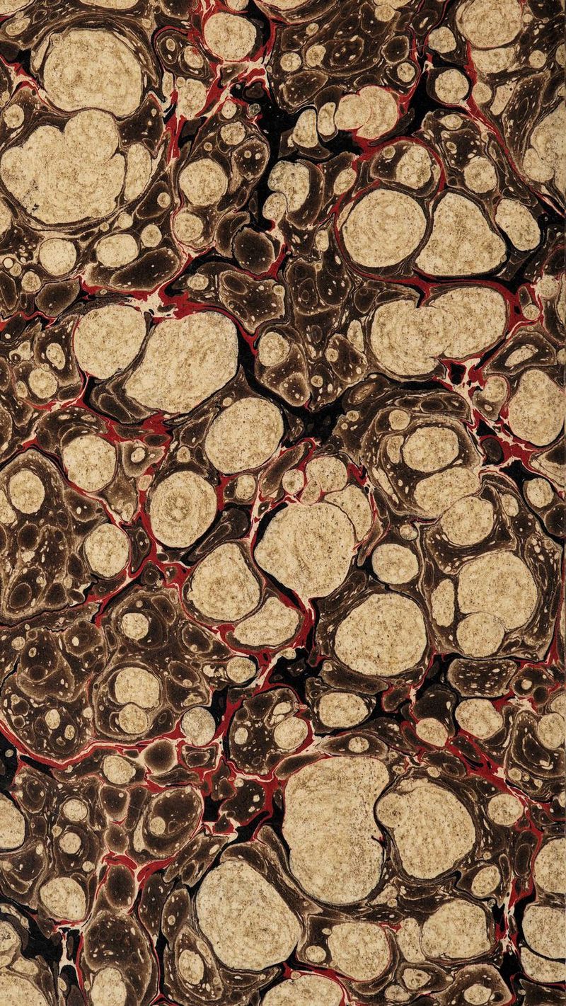 Mi HI9K jMf wry BLJi afe Lj Ek gapiF*- Naat M# .“/.- y ■#2hLjf • _ ef ' -*W£^L*'SG r? / mI^£l. nfes. L^sinii ■ >' bkmi I • T-'*, '• • ' • • <3* 'jW ppp^Jl E', .'W. ffcv, MK«fl v.:^Bv'l. , I smw& fPQEj^^ * .. \ {SFSwfcrf’/ ' ' .1 B ’ iL« ^ ,* ^ I 4^; 'W jH ^ 2 i*J ffigg^va rA Ai f( tl ' i Jr L \ ^ ■*0~i ■* m i