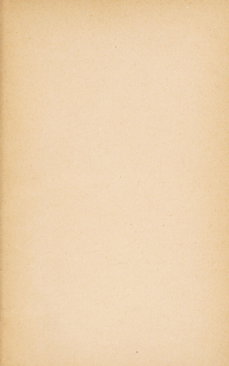 / f.-> i ¥ . t f, j- *1