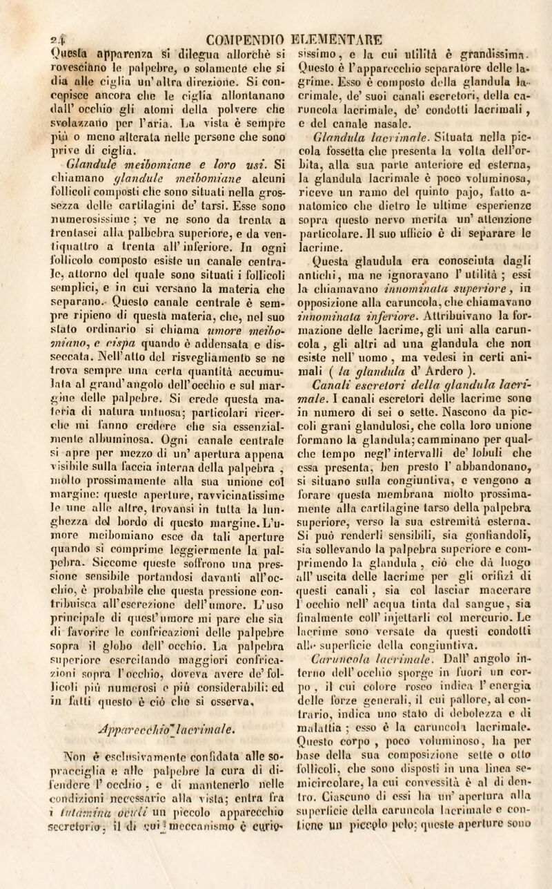 Onesta apparenza si dilegua allorché si rovesciano lo palpebre, o solamente clic si dia alle ciglia un’altra direzione. Si con¬ cepisce ancora clic le ciglia allontanano dall’ occhio gli atomi della polvere che svolazzano per l’aria, ha vista è sempre più o meno alterala nelle persone che sono prive di ciglia. Glandule meibomiane e loro usi. Si chiamano glandule meibomiane alcuni follicoli composti clic sono situati nella gros¬ sezza delle cartilagini de’ tarsi. Esse sono numerosissime ; ve ne sono da trenta a Ircnlasei alla palbebra superiore, e da ven¬ tiquattro a trenta all’inferiore. In ogni follicolo composto esiste un canale centra¬ le, attorno del quale sono situali i follicoli semplici, e in cui versano la materia che separano. Questo canale centrale è sem¬ pre ripieno di questa materia, che, nel suo stato ordinario si chiama umore meibo- miano, e cispa quando è addensata c dis¬ seccata. Nell’alto del risvegliamenlo se ne trova sempre una certa quantità accumu¬ lala al grand’angolo dell’occhio o sul mar¬ gine delle palpebre. Si crede questa ma¬ teria di natura untuosa; particolari ricer¬ che mi lamio credere clic sia cssenzial- monle albuminosa. Ogni canale centrale si apre per mezzo di un’ apertura appena visibile sulla faccia interna della palpebra , molto prossimamente alla sua unione col margine: questo aperture, ravvicinalissime le mie alle altro, trovatisi in tutta la lun¬ ghezza del bordo di questo margine. L’u¬ more meibomiano esce da tali aperture quando si comprime leggiermente la pal¬ pebra. Siccome queste soffrono una pres¬ sione sensibile portandosi davanti all’oc¬ chio, è probabile che questa pressione con¬ tribuisca aU’cscrezione dell’umore. L’uso principale di quest’umore mi pare che sia di favorire le confricazioni delle palpebre sopra il globo dell’ occhio. La palpebra superiore esercitando maggiori confrica¬ zioni sopra l’occhio, doveva avere de’fol¬ licoli più numerosi e più considerabili: ed in falli questo è ciò elio si osserva. Appare celi io” la crini ale. Non è esclusivamente confidata alle so¬ pracciglia « alle palpebre la cura di di¬ fendere 1’ ocoJiio , c di mantenerlo nelle condizioni necessarie alla v ista; entra fra i lulàmina odali un piccolo apparecchio secretorio , il di etnj meccanismo c curio- sissimo, c la cui ulililà è grandissima- Questo è l’apparecchio separatore delle la¬ grime. Esso è composto della gianduia la¬ crimale, de’ suoi canali escretori, della ca¬ runcola lacrimale, de’ condotti lacrimali , c del canale nasale. Gianduia lacrimale. Situata nella pic¬ cola fossetta che presenta la volta dell’or¬ bita, alla sua parte anteriore ed esterna, la gianduia lacrimale c poco voluminosa, riceve un ramo del quinto pajo, l'alto a- natomico clic dietro le ultime esperienze sopra questo nervo merita un’ attenzione particolare. Il suo uflicio è di separare le lacrime. Questa glaudula ora conosciuta dagli antichi, ma ne ignoravano l’utilità; essi la chiamavano innominata superiore, in opposizione alla caruncola, che chiamavano innominata inferiore. Attribuivano la for¬ mazione delle lacrime, gli uni alla carun¬ cola , gli altri ad una gianduia che non esiste nell’ uomo , ma vedesi in certi ani¬ mali ( la gianduia d’ Arderò ). Canali escretori della gianduia lacri¬ male. I canali escretori delle lacrime sono in numero di sei o sette. Nascono da pic¬ coli grani glandulosi, che colla loro unione formano la gianduia; camminano per quaL clic tempo negl’intervalli de’lobuli che essa presenta, ben presto 1' abbandonano, si situano sulla congiuntiva, c vengono a forare questa membrana molto prossima¬ mente alla cartilagine tarso della palpebra superiore, verso la sua estremità esterna. Si può renderli sensibili, sia gonliandoli, sia sollevando la palpebra supcriore e com¬ primendo la gianduia , ciò clic dà luogo all’ uscita delle lacrime per gli orifizi di questi canali , sia col lasciar macerare 1 occhio nell’ acqua tinta dal sangue, sia finalmente coll’ injeltarli col mercurio. Le lacrime sono versale da questi condotti alti- superficie della congiuntiva. Caruncola lacrimale. Dall’ angolo in¬ terno dell’occhio sporge in inori un cor¬ po, il cui Colore roseo indica l’energia delle forze generali, il cui pallore, al con¬ trario, indica uno stato di debolezza c di malattia ; esso è la caruncola lacrimale. Questo corpo , poco voluminoso, ha per base della sua composizione sette o otto follicoli, clic sono disposti in una linea se¬ micircolare, la cui convessità è al di den¬ tro. Ciascuno di ossi ha un1 aperlura alla superficie della caruncola lacrimale e con¬ tiene un piccalo pelo; queste aperture sono