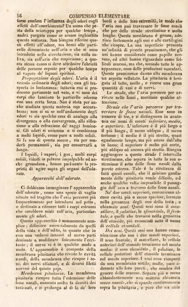 forse confusa l’influenza degli odori cogli elicili dell’assorbimento? Un uomo clic pe¬ sta della sciarappa per qualche tempo, andrà purgalo come se avesse inghiottito questa sostanza. Non bisogna riferire que¬ sti cfTetli all’odore, ma bensì alle parti- celle disseminate nell’aria c che si sono introdotte nella circola/.ionc, sia colla sa¬ liva, sia coll’aria che respiriamo; a que¬ sta stessa causa si deve attribuire l’ebrietà delle persone esposte per qualche tempo al vapore de’ liquori spiritosi. Propagazione degli odori. L’aria è il veicolo ordinario degli odori; essa gli tra¬ sporla in lontananza: tuttavia essi si pro¬ ducono parimente nel voto, e vi sono dei corpi che lanciano le particelle odorose con una certa forza. Non è stata per an¬ che studiata questa materia con accura¬ tezza; non si sa se nell’andamento degli odori vi sia qualche cosa di analogo alla divergenza o alla convergenza, alla rifles¬ sione o alla refrazione de’ raggi lumino¬ si. Gli odori si uniscono o si combinano a molli liquidi, come pure a molti solidi. Si fa uso di questo mezzo , sia per ren¬ derli permanenti, sia per conservarli a lungo. I liquidi, i vapori, i gas , molti corpi .solidi, ridotti in polvere impalpabile od an¬ che grossolana , hanno parimente la pro¬ prietà di agire sopra gli organi dell’odo¬ rato. Apparecchi dell' odorato. Ci dobbiamo immaginare 1’ apparecchio dell’odoralo , come una specie di vaglio situalo sul tragitto che l’aria percorre più frequentemente por introdursi nel petto , e destinato a ritenere tutti i corpi estranei che sarebbero misti coll’aria, particolar¬ mente gli odori. Questo apparecchio è sommamente sem¬ plice ; differisce essenzialmente da quelli della vista c dell’udito, in quanto clic in esso non redolisi innanzi al nervo parti destinate a modificare fisicamente l’ecci¬ tante ; il nervo vi è in qualche modo a nudo. L’ apparecchio è composto della membrana pituitaria clic riveste le cavità nasali, della membrana che ricopre i se¬ ni, dei nervi olfattori, e di diversi filetti nervosi del quinto paio. Membrana pituitaria. La membrana pituitaria ricopre tutta l’estensione delle fosse nasali, aumenta mollo la densità dei turbinali, c si prolunga al di là de’ loro bordi c delle loro estremità, in modo che l’aria non può traversare le fosse nasali che per delle strade strettissime c molto lunghe. Questa membrana è grossa, ade¬ risce fortemente agli ossi e alle cartilagini che ricopre. La sua superficie presenta un’infinità di piccole prominenze, che gli uni hanno considerato come pupille ner¬ vose, cd altri hanno riguardato come fol¬ licoli mucosi, ma che, secondo tutte le ap- apparenze, sono delle produzioni vascolari. Queste prominenze danno alla membrana un aspetto vellutato. La pituitaria è levi¬ gata al tatto, molle , e riceve una gran quantità di vasi e di nervi. Le strade, che l’aria percorre per ar¬ rivare nelle fauci , meritano qualche at¬ tenzione. Strade che l’aria percorre per tra¬ versare le fosse nasali. Esse sono in numero di tre, e si distinguono in anato¬ mia coi nomi di meati inferiore, medio, e superiore. L’inferiore è il più largo c il più lungo , il meno obliquo , il meno tortuoso ; il medio è il più stretto, quasi egualmente lungo, ma più esteso dall’alto in basso; il supcriore è molto più corto, più obliquo ed ancora più stretto. Bisogna aggiungere a queste strade 1’ intervallo strettissimo, che separa in tutta la sua e- stcnsione il setto delle fosse nasali dalla parete esterna. Tale c la strettezza di tutti questi canali, che il minimo gonfia¬ mento della pituitaria rende difficile, ed anche qualche volta impossibile il passag¬ gio dell’ aria a traverso delle fosse nasali. Ne’ due meati superiori, comunicano al¬ cune cavità più o meno spaziose, formale nella grossezza degli ossi della testa, c chiamate seni. Questi seni sono il mas¬ siilare, il palatino, lo sfenoidale, il fron¬ tale, c quelli che trovatisi nella grossezza dell’ etmoide, più conosciuti sotto il nome di cellule etmoidali. Dei scili. Questi seni non hanno comu¬ nicazione clic con i due meati superiori. Il seno frontale, il mascellare, le cellule anteriori dell’ etmoide terminano nel meato medio: il seno sfenoidale, il palatino, le cellule posteriori dell’ etmoide terminano nel meato superiore. 1 soni sono ricoperti da una membrana sottile, molle, poco a- derente alle loro pareti , che sembra del genere delle mucose. Separa più o meno abbondantemente una materia chiamata muco nasale, che si spande continuamente sopra la pituitaria , c pare che sia utile